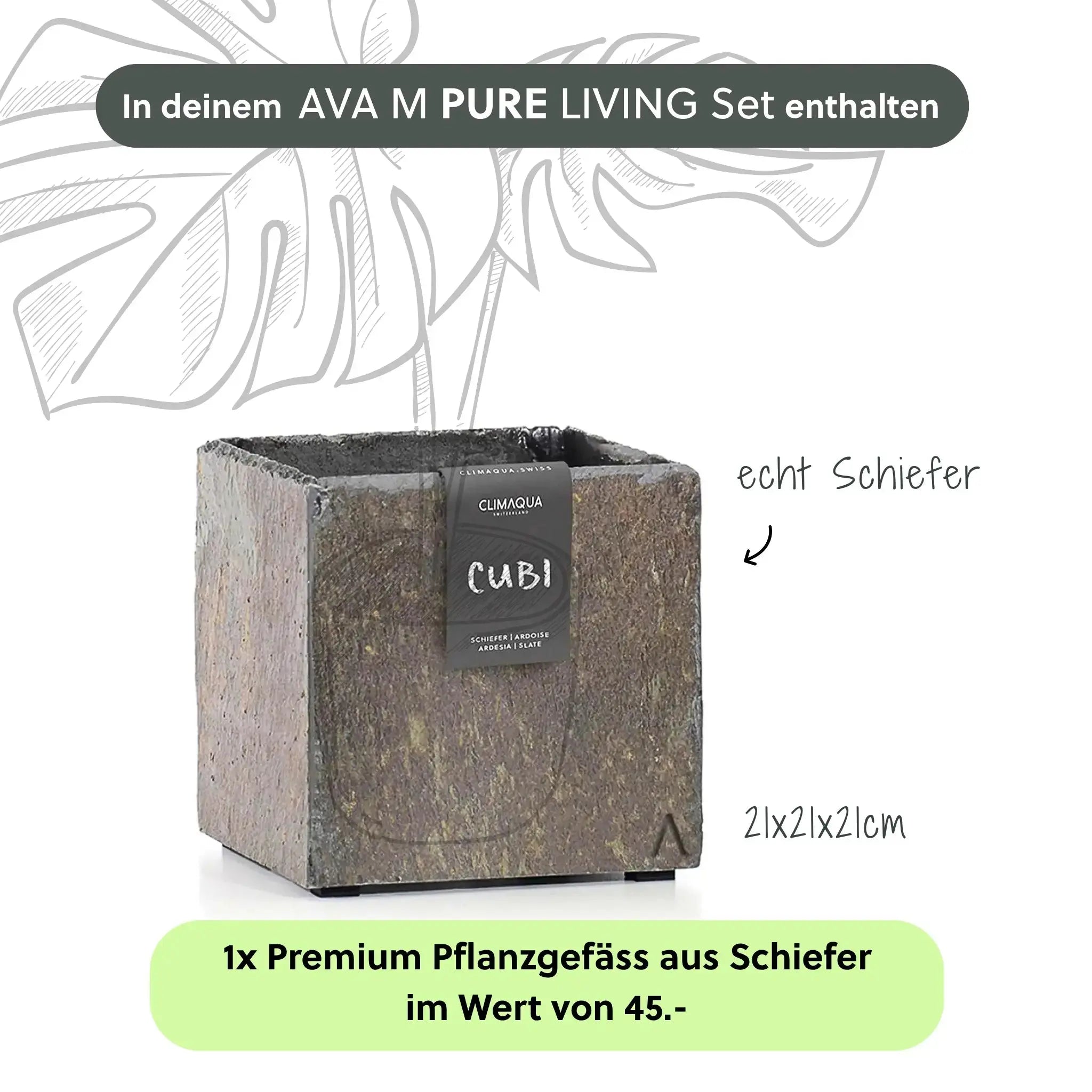 Wasserwand AVA M PURE LIVING Set - CLIMAQUA