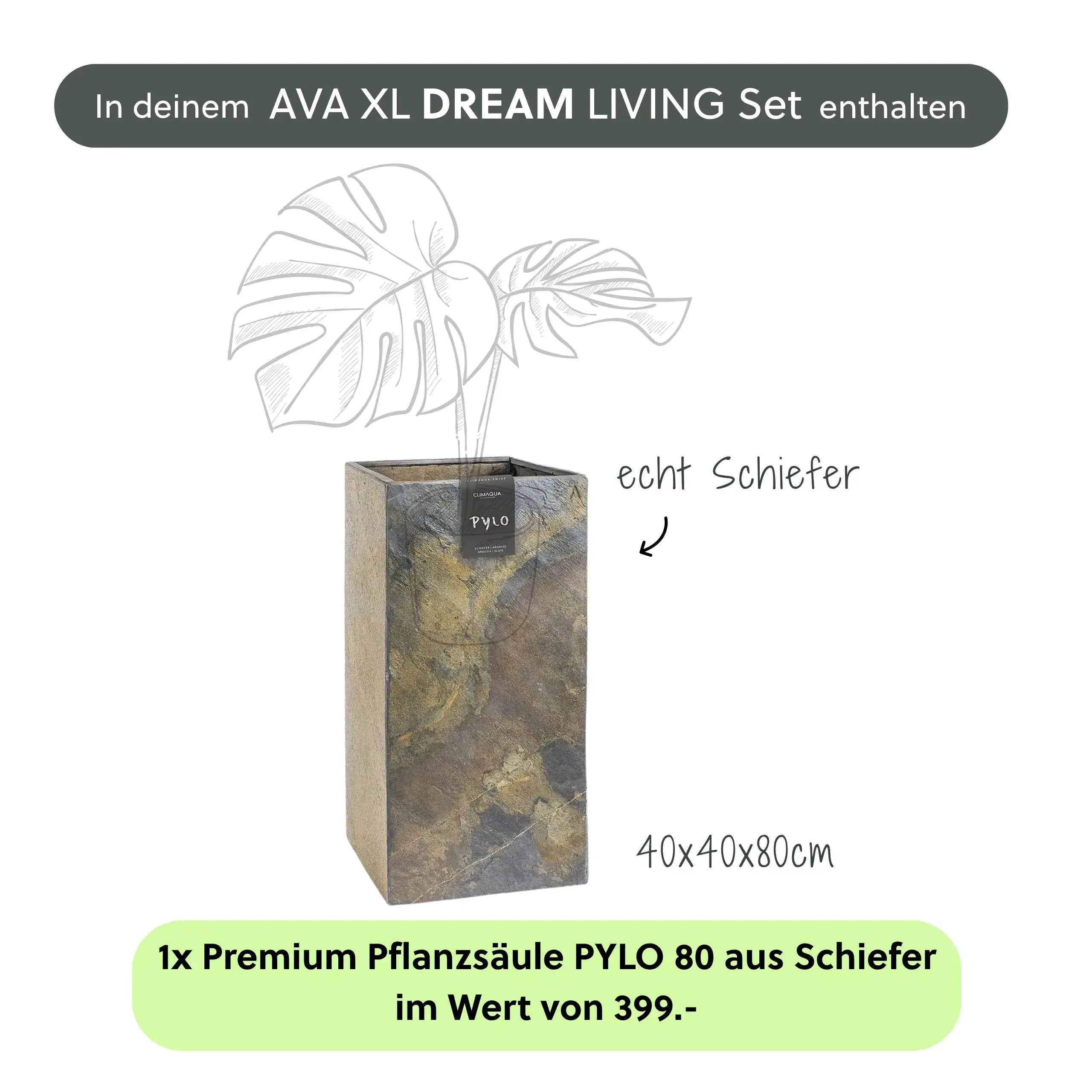 Wasserwand AVA XL DREAM LIVING Set - CLIMAQUA
