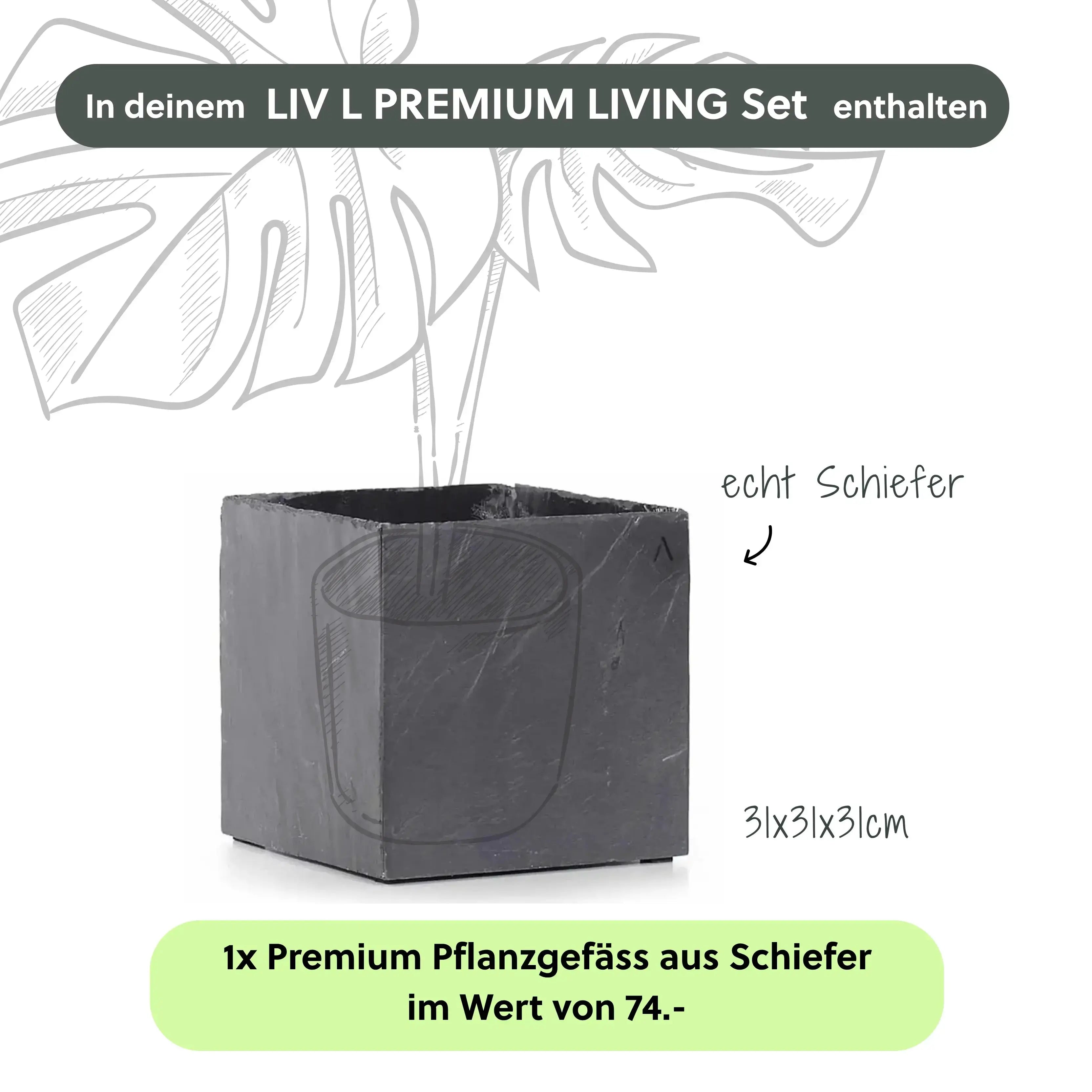 Wasserwand Set LIV L PREMIUM LIVING - CLIMAQUA