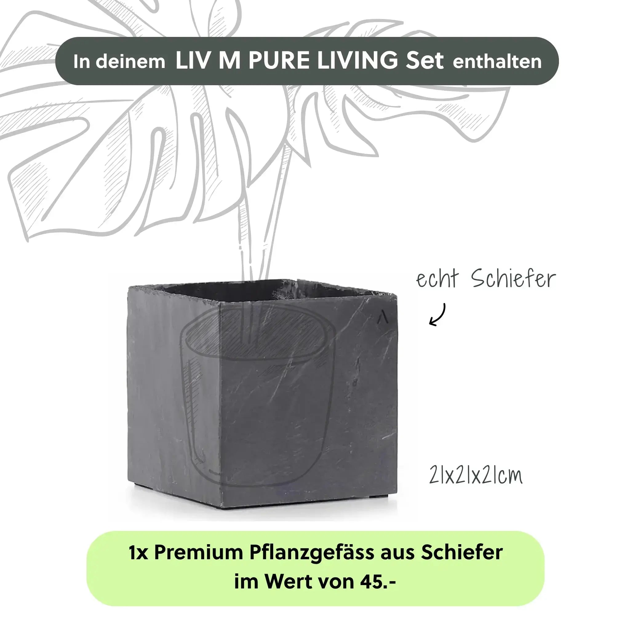 LIV M LIVING PURE Set - CLIMAQUA