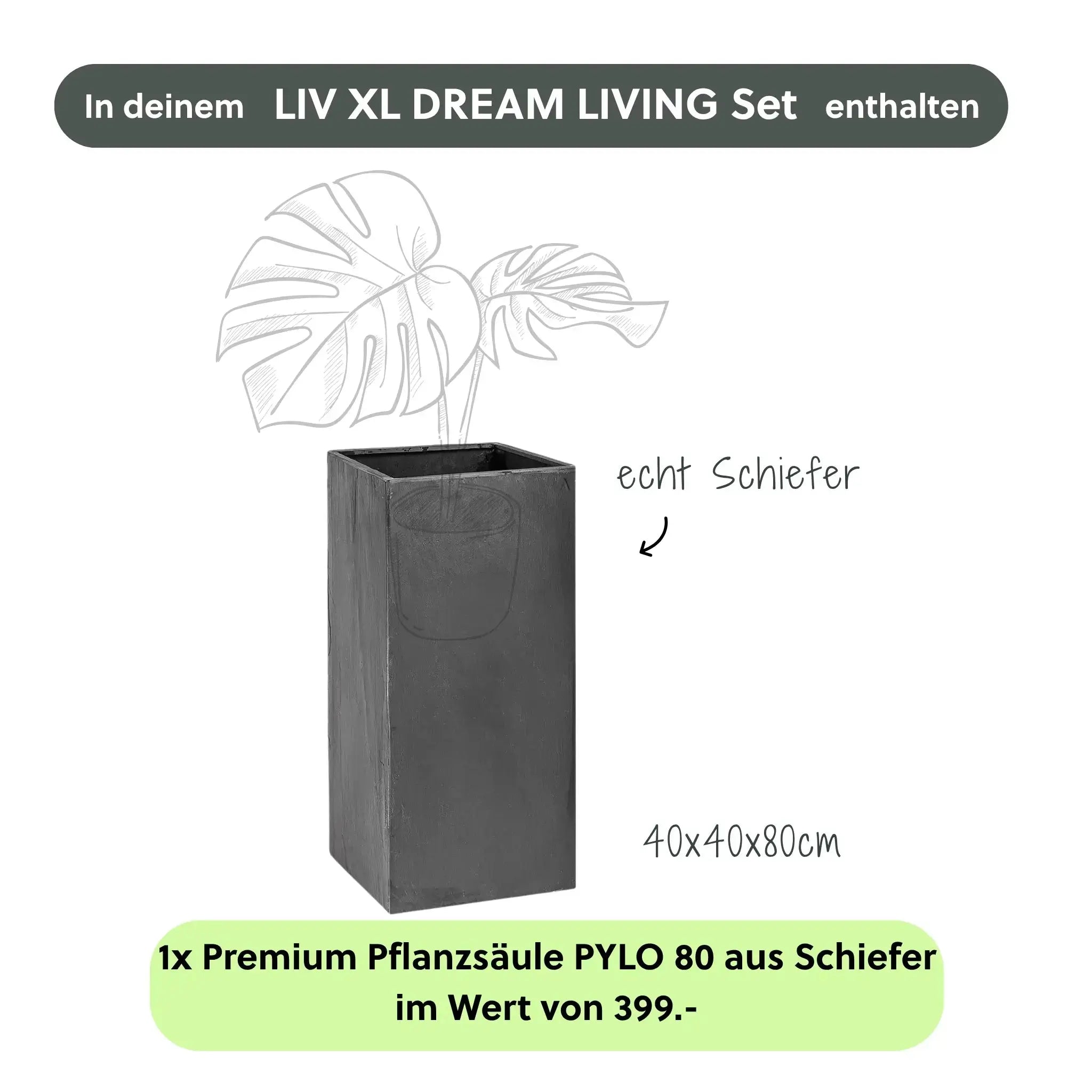Wasserwand Set LIV XL DREAM LIVING - CLIMAQUA