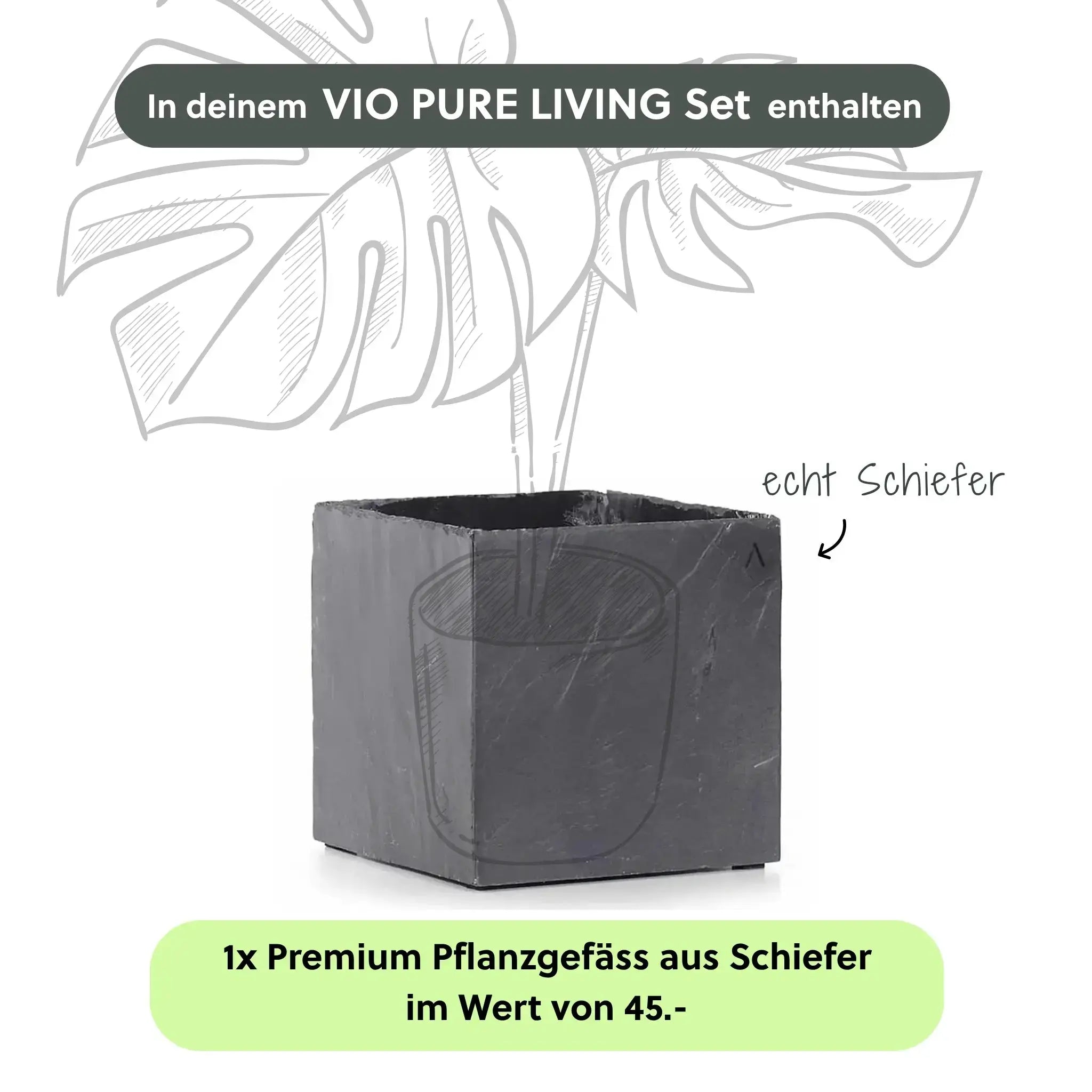VIO PURE LIVING Set - CLIMAQUA