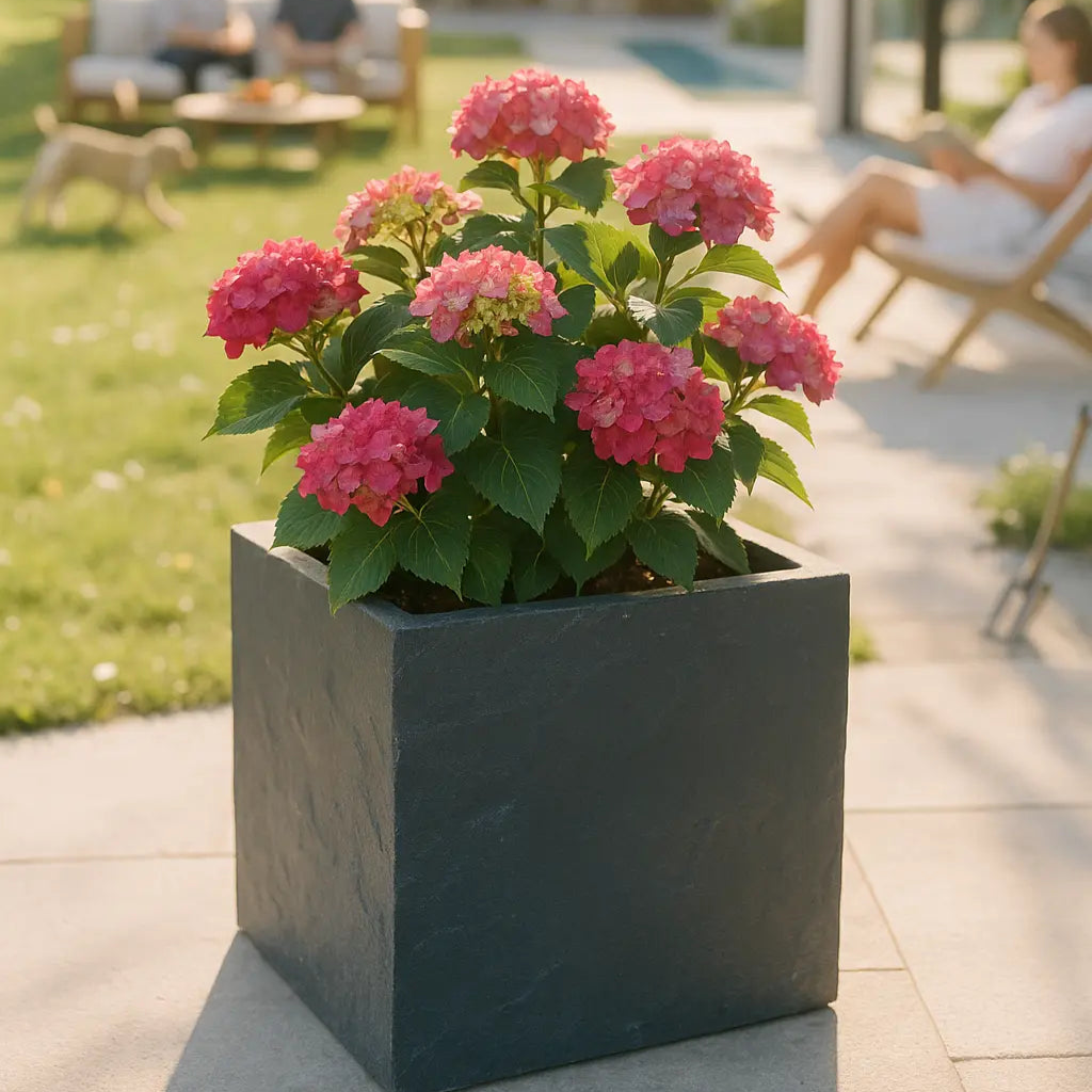 CUBI 40 Anthrazit – Pflanzgefäss Eckig 40x40x40 cm Schiefer Schwarz - CLIMAQUA