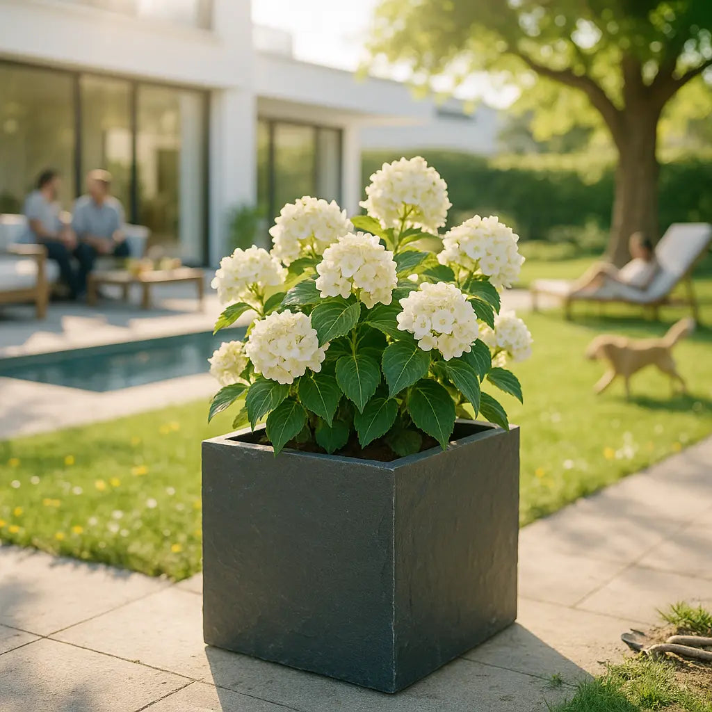 CUBI 40 Anthrazit – Pflanzgefäss Eckig 40x40x40 cm Schiefer Schwarz - CLIMAQUA