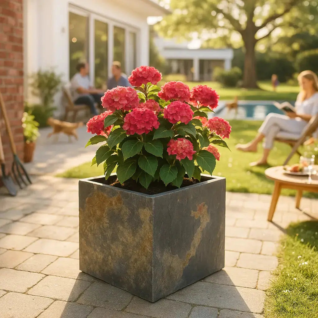 CUBI 40 Rusty – Pflanzgefäss Eckig 40x40x40 cm Schiefer Braun - CLIMAQUA