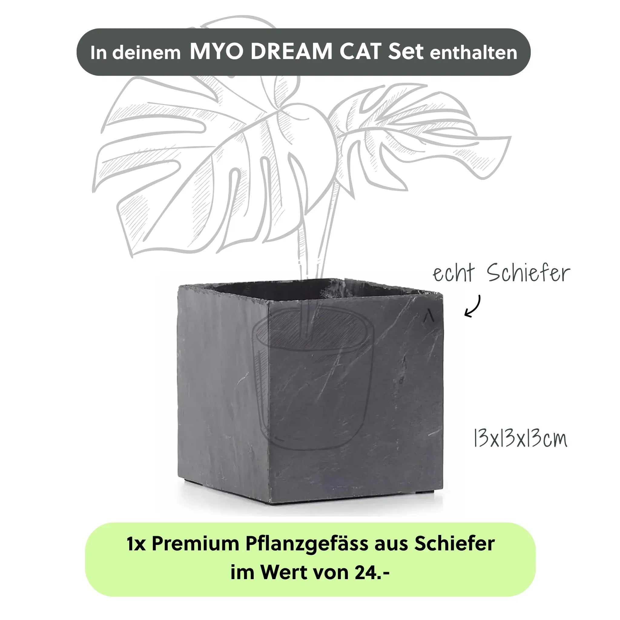 MYO DREAM CAT SET - CLIMAQUA
