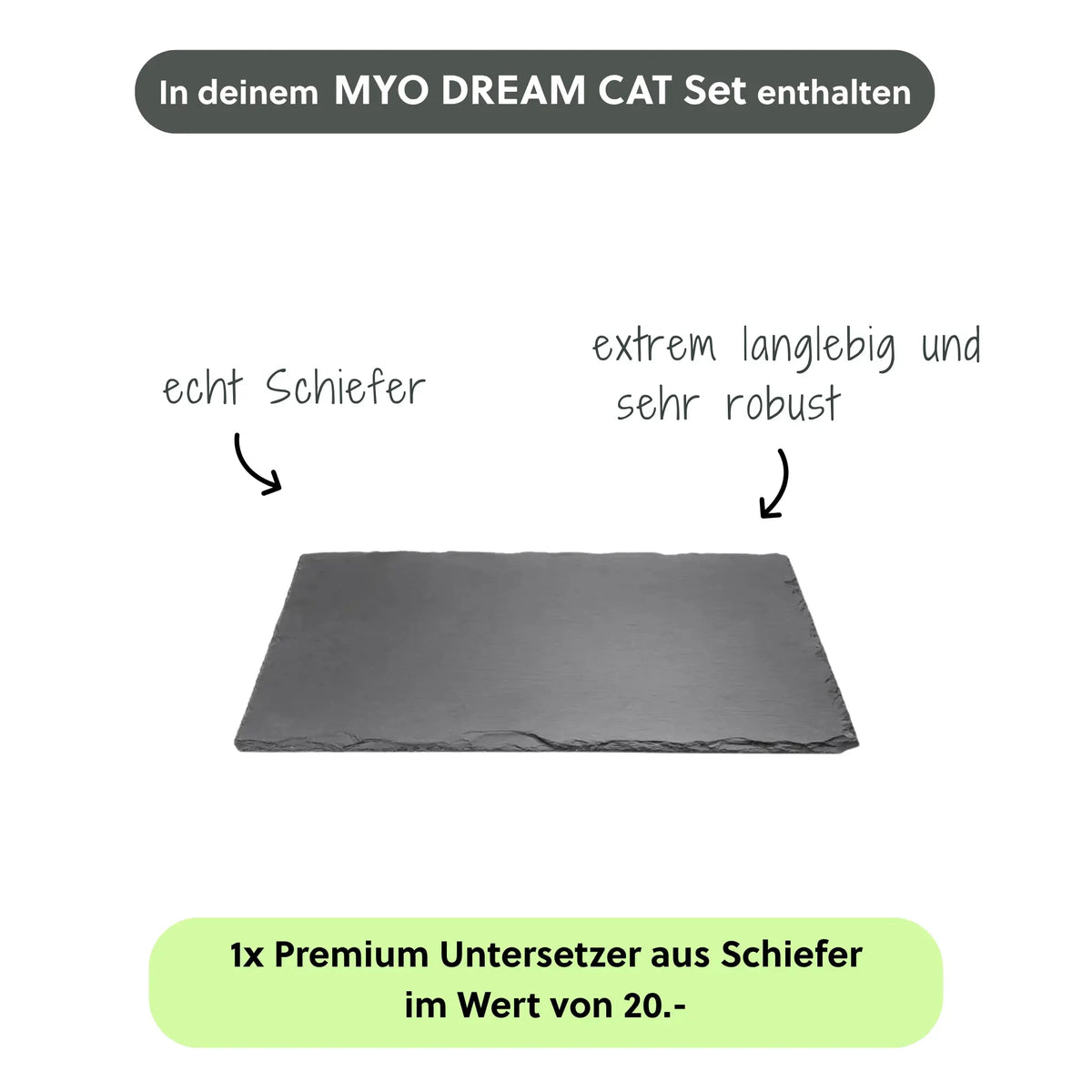 MYO DREAM CAT SET - CLIMAQUA