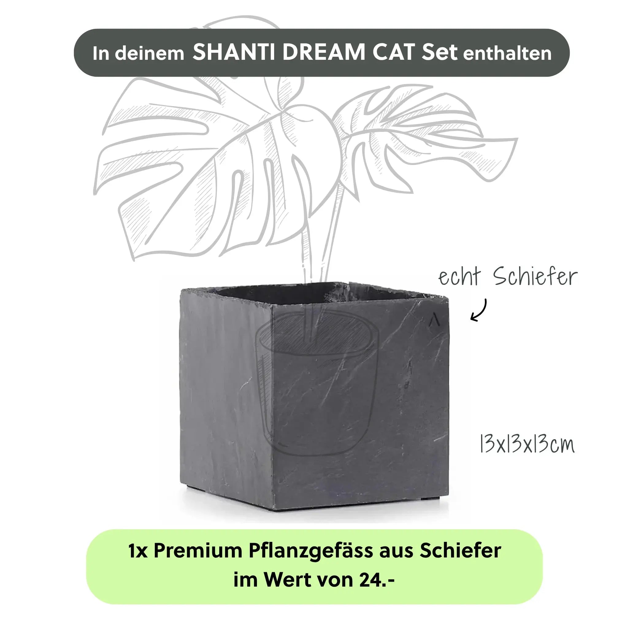 SHANTI DREAM CAT SET - CLIMAQUA