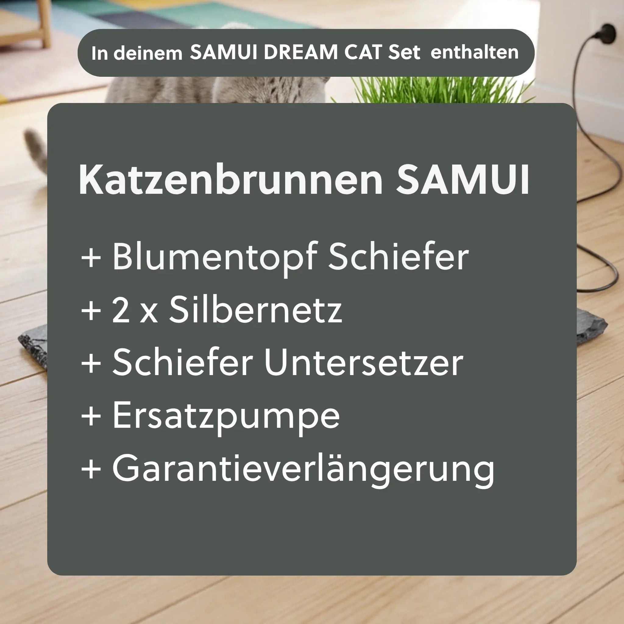Katzenbrunnen SAMUI DREAM CAT SET - CLIMAQUA