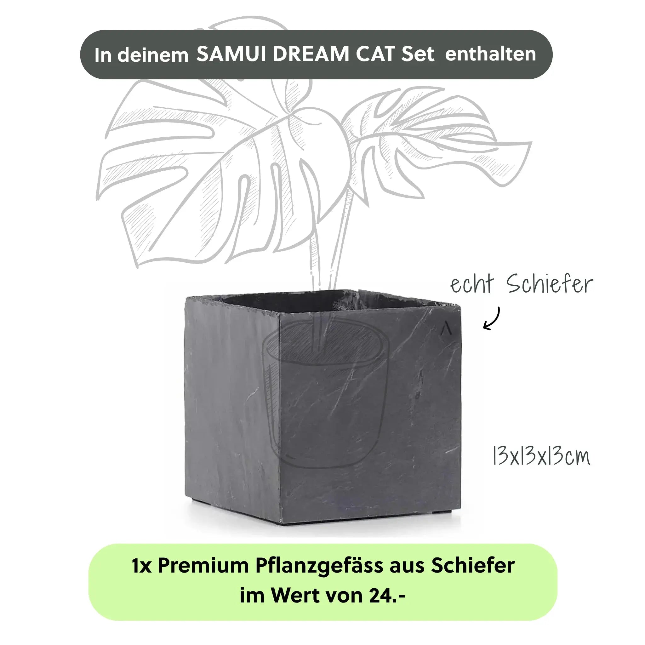 Katzenbrunnen SAMUI DREAM CAT SET - CLIMAQUA