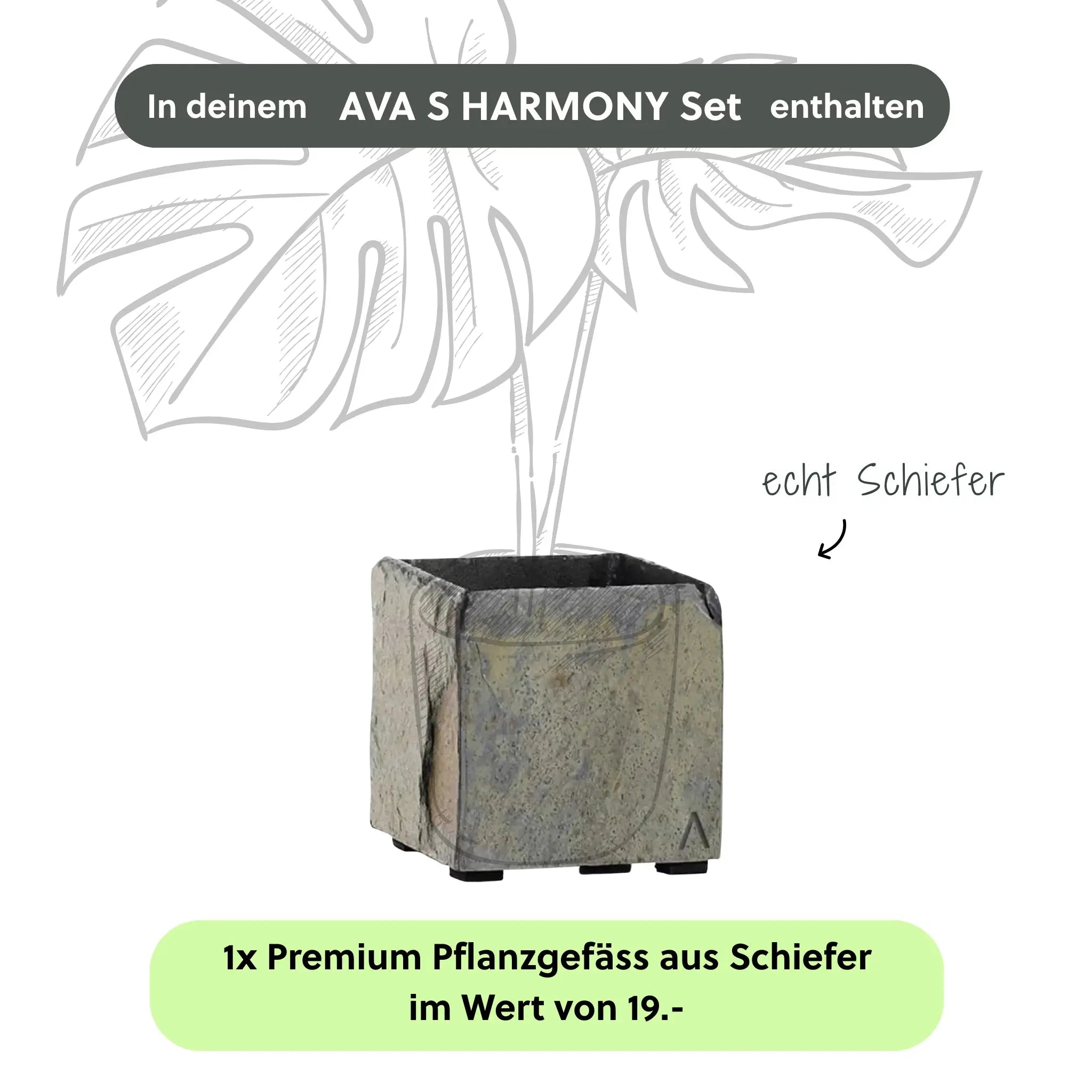 Kleine Wasserwand AVA S HARMONY Set - CLIMAQUA