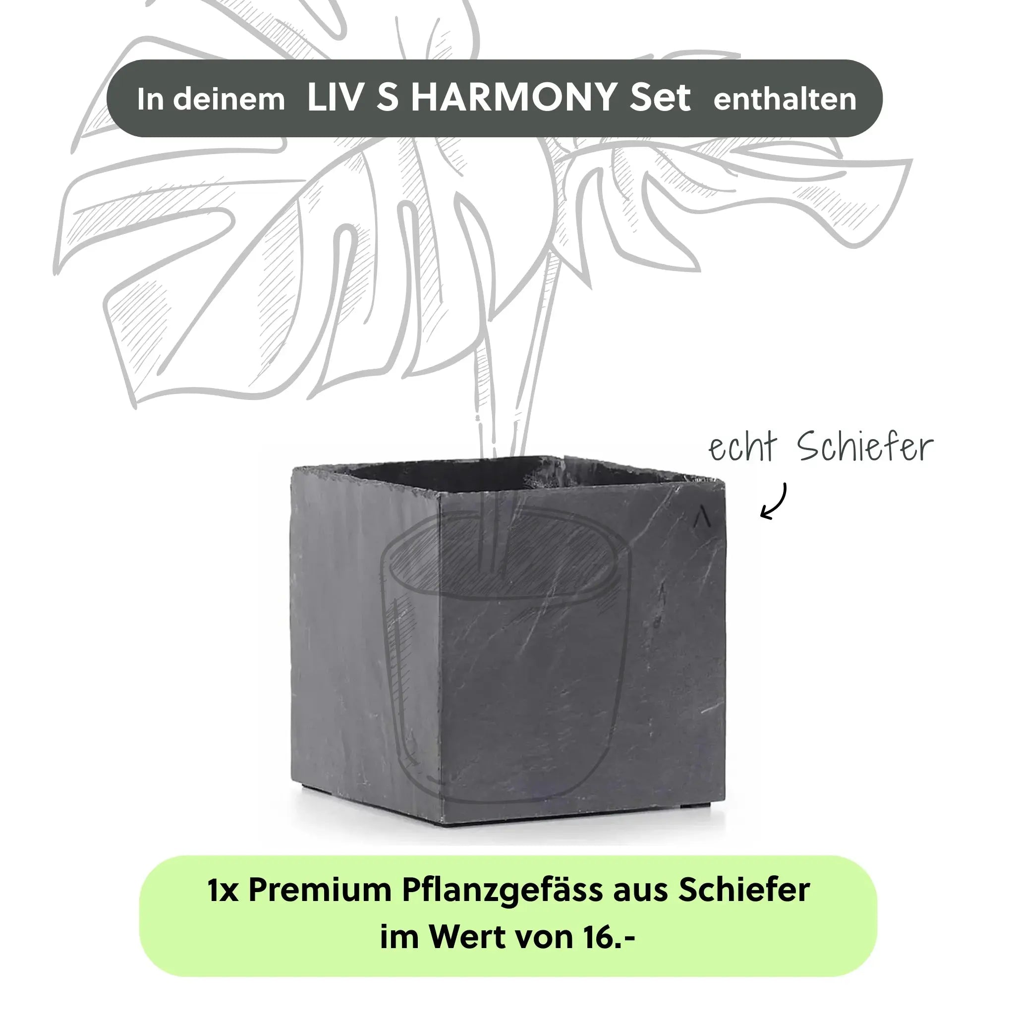 Kleine Wasserwand LIV S HARMONY Set - CLIMAQUA