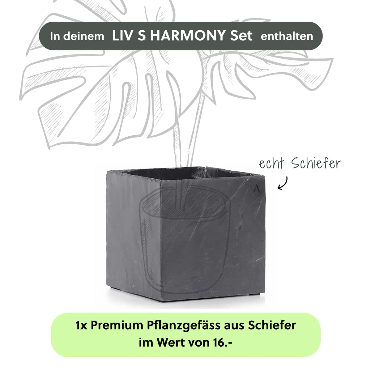 Kleine Wasserwand LIV S HARMONY Set - CLIMAQUA