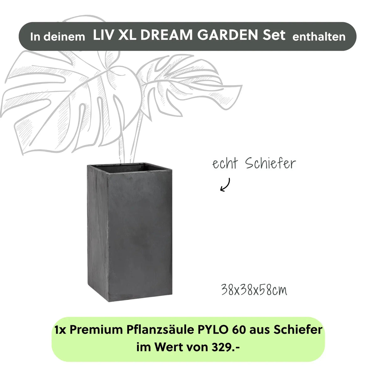 Wasserwand LIV XL DREAM GARDEN SET - CLIMAQUA