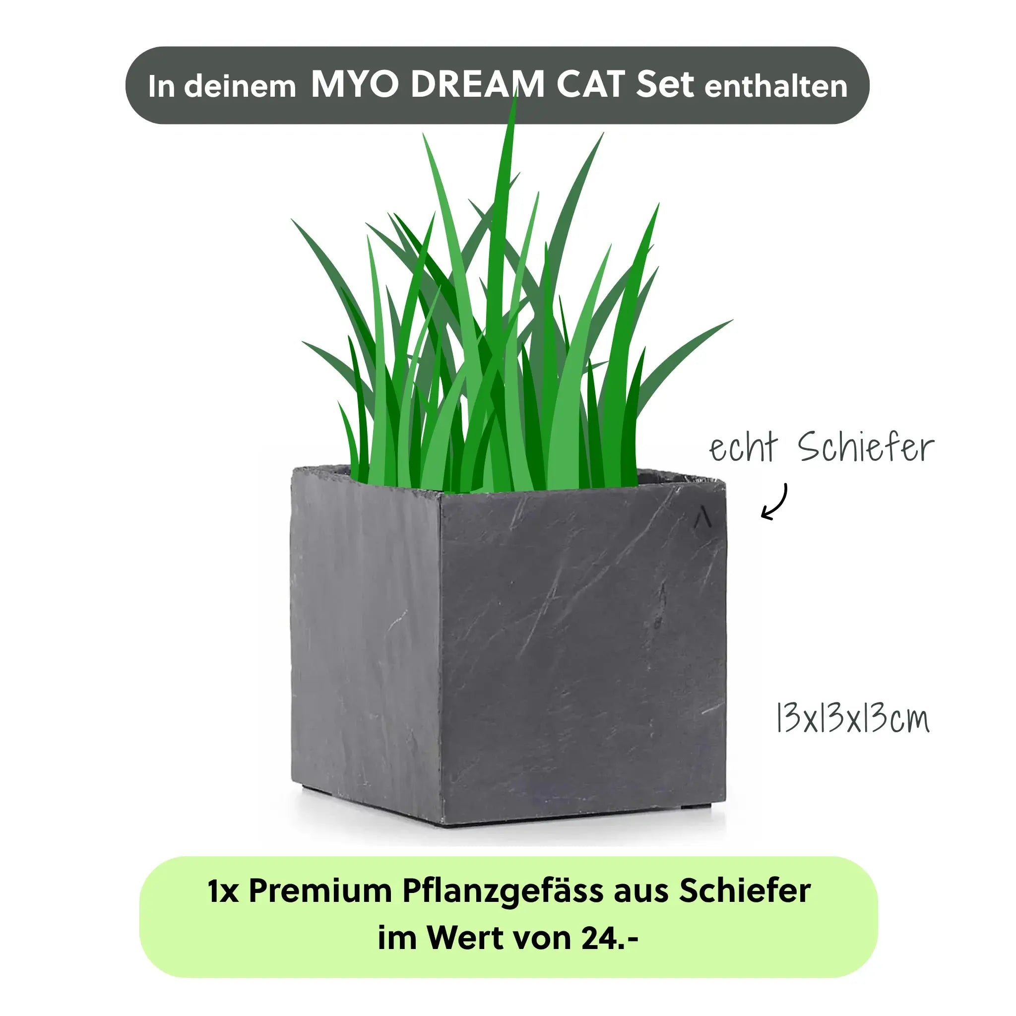 Katzenbrunnen MYO DREAM CAT SET - CLIMAQUA