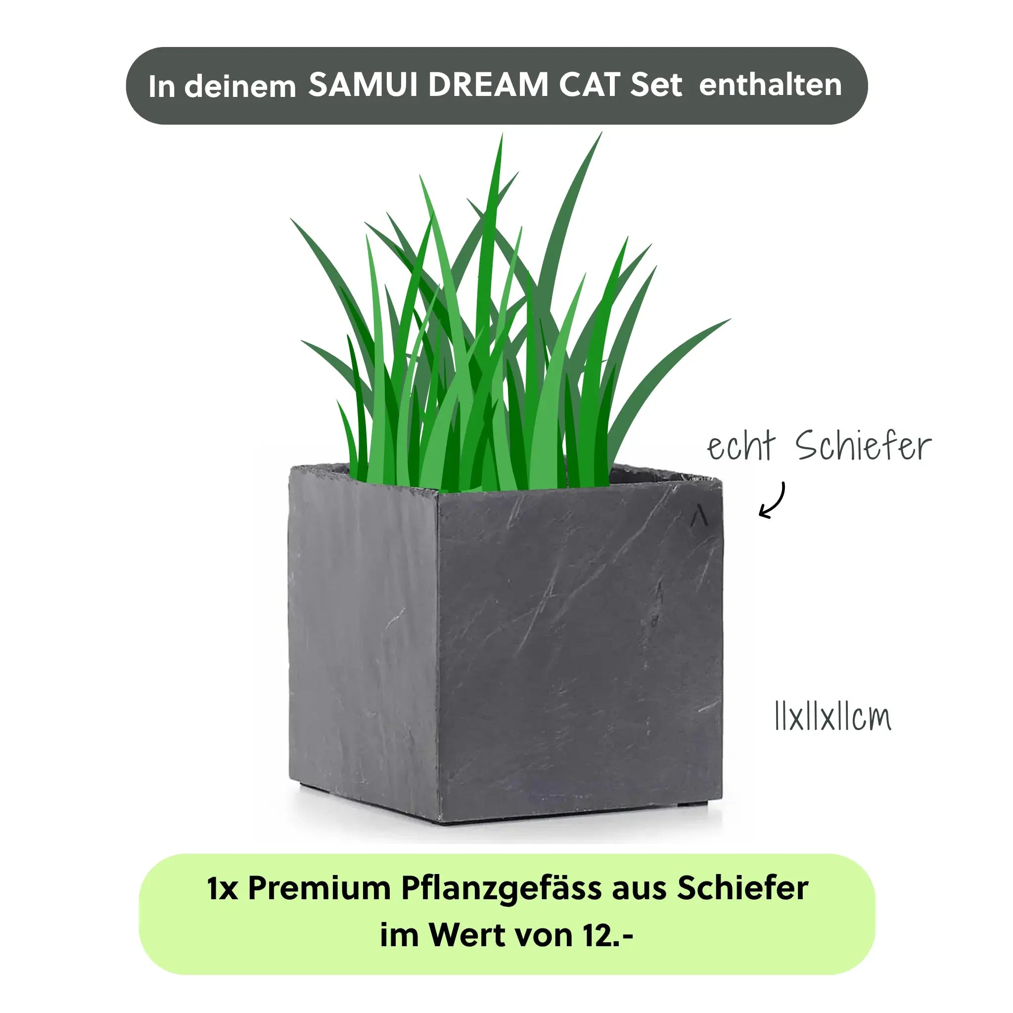 Katzenbrunnen SAMUI DREAM CAT SET - CLIMAQUA