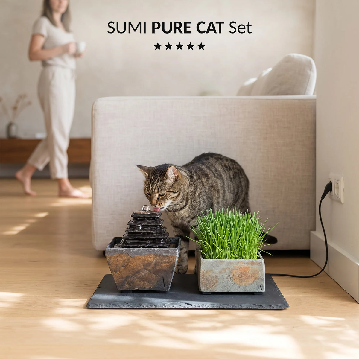 Cat drinking from the SUMI PURE CAT SET cat fountain in the living room (KI-Inhalte)