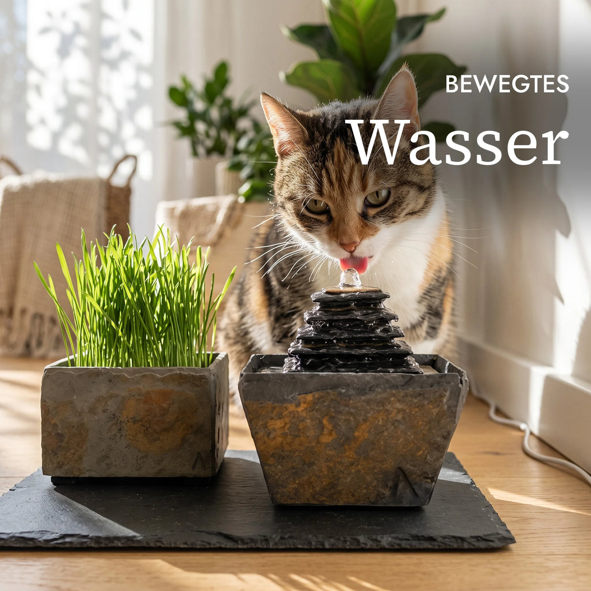 Katze trinkt bewegtes Wasser am Katzenbrunnen SUMI (KI-Inhalte)