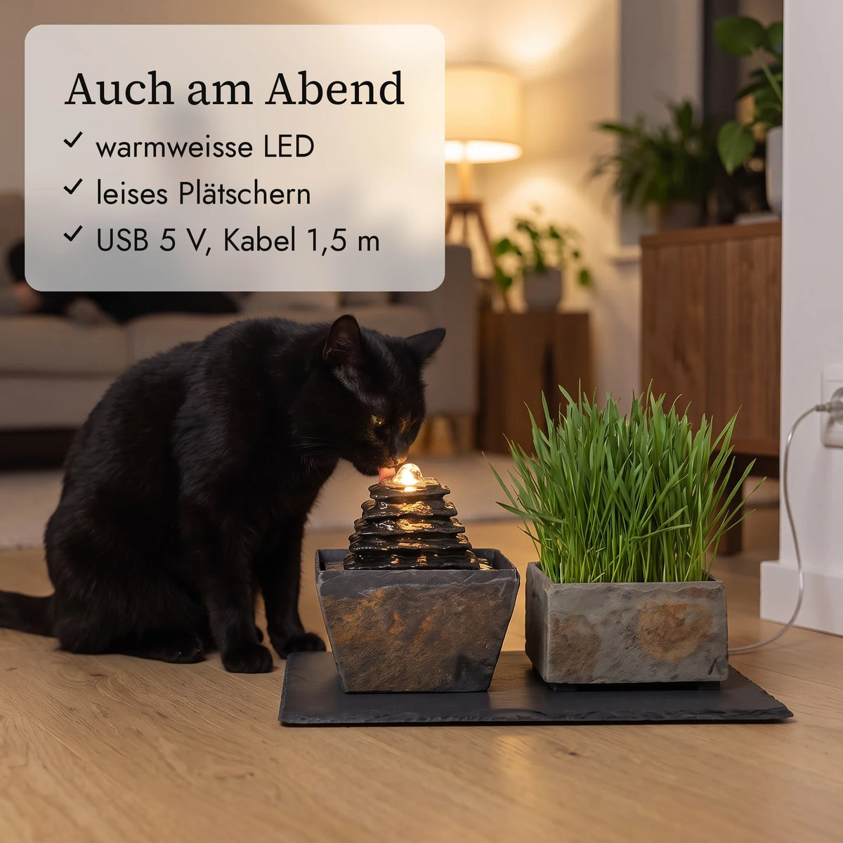 Schwarze Katze trinkt am Abend am Katzenbrunnen SUMI mit warmweisser LED (KI-Inhalte)