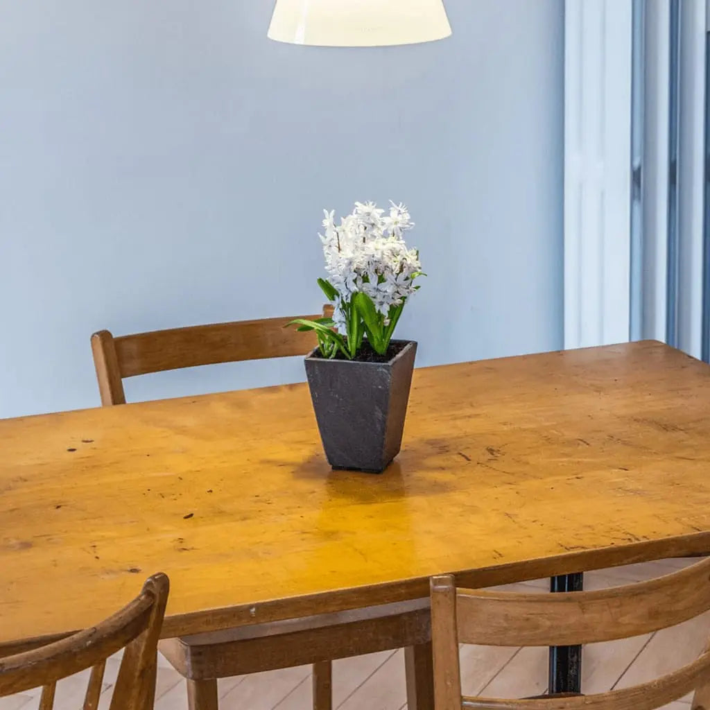 Konischer Übertopf 11 cm Schiefer STILO 11 Anthracite - CLIMAQUA