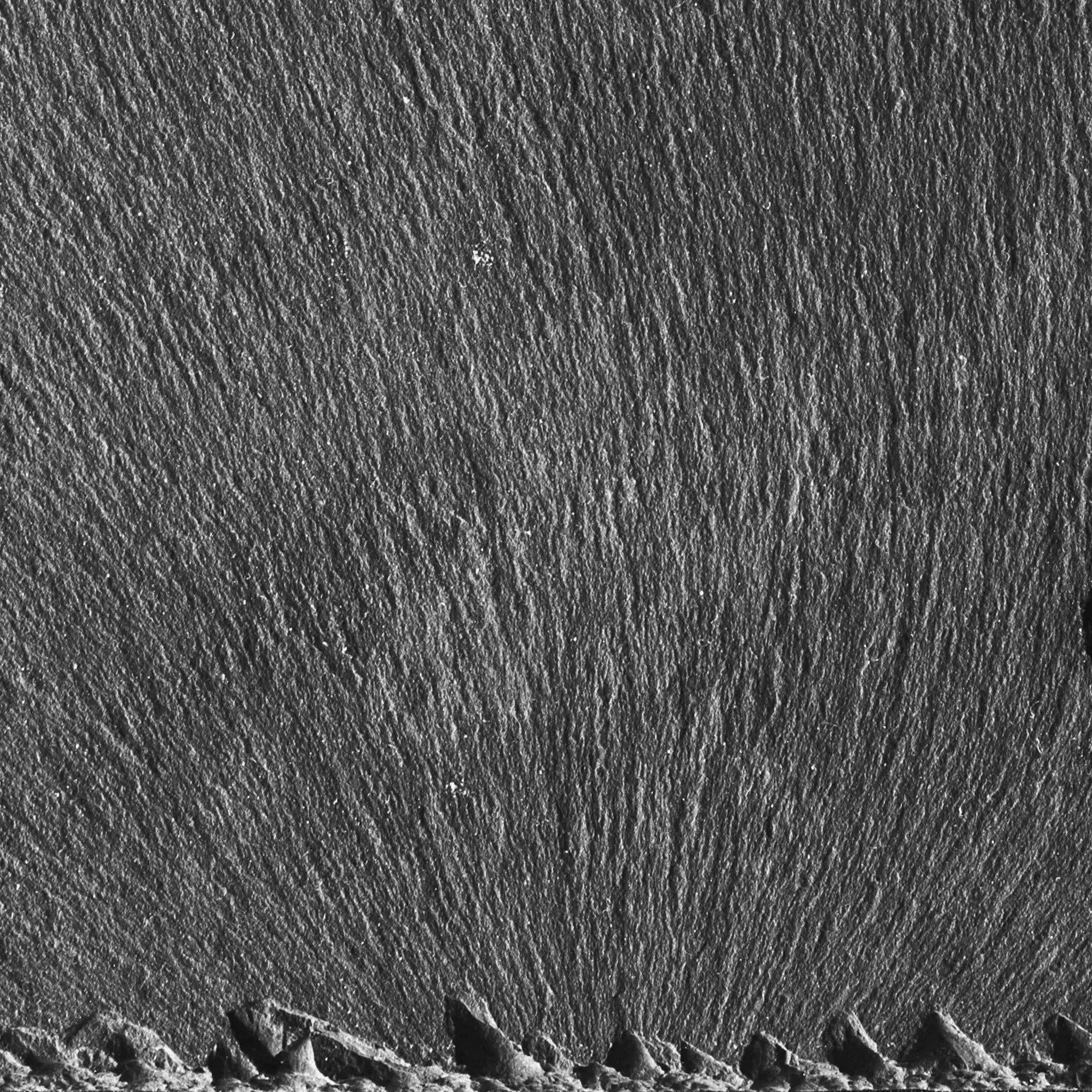 LIV M LIVING PURE Set - CLIMAQUA