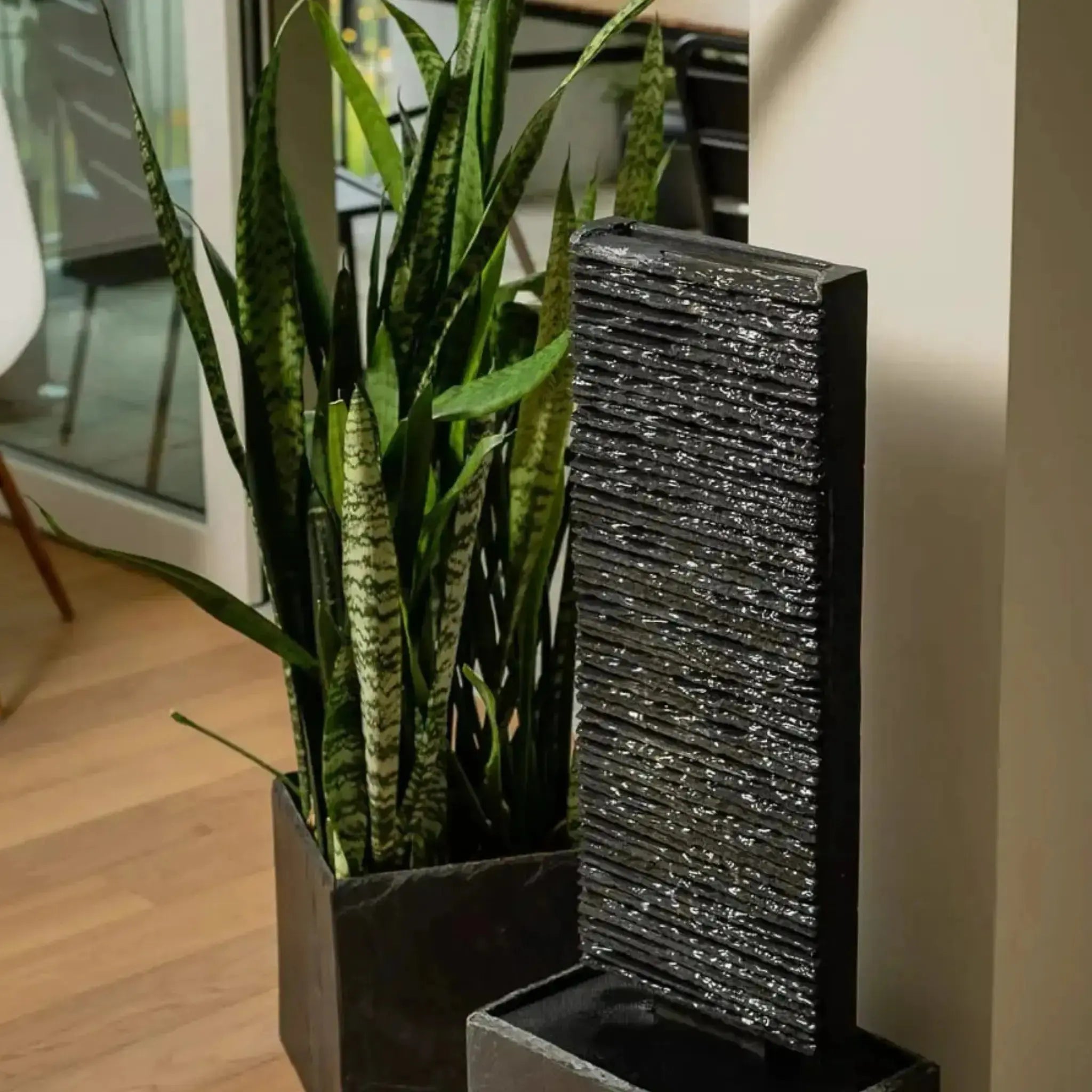 LIV M LIVING PURE Set - CLIMAQUA