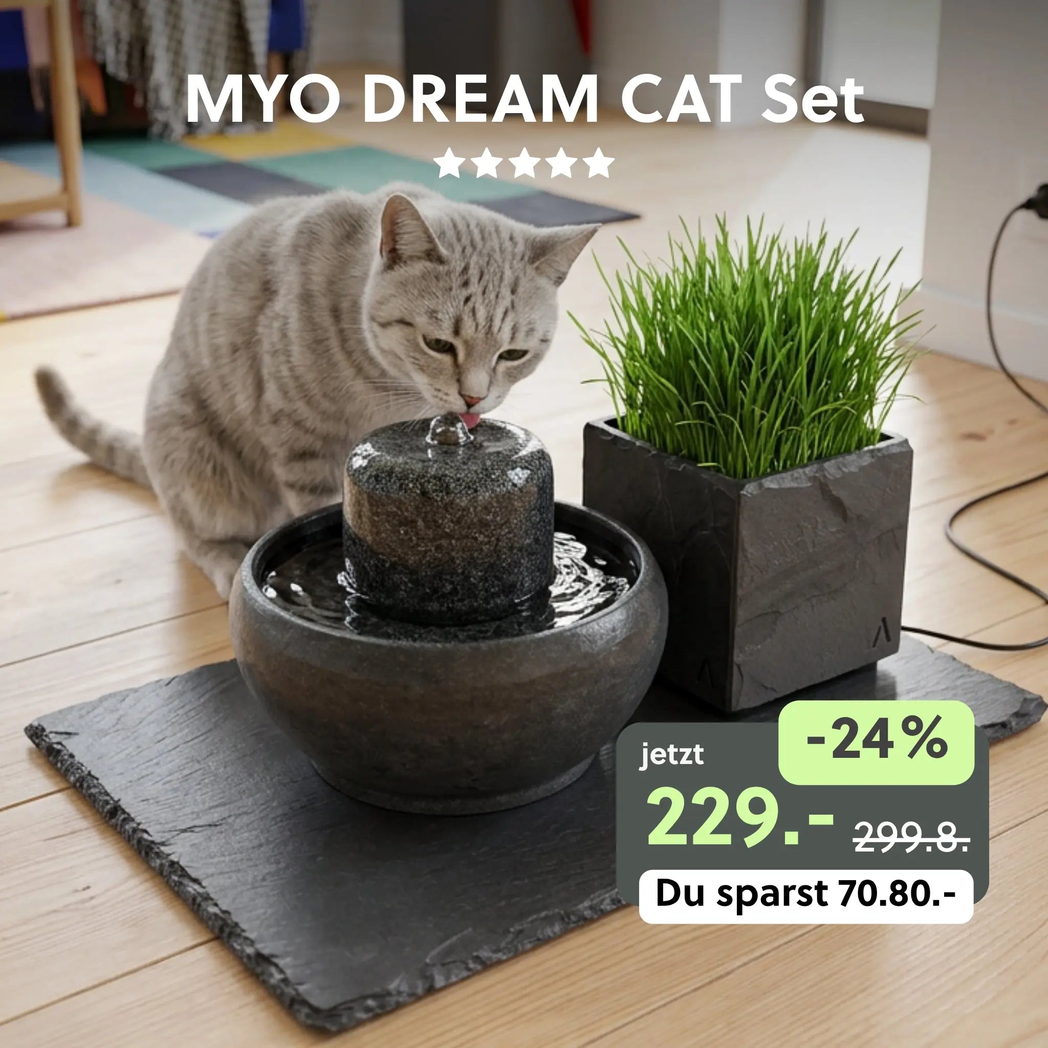 MYO DREAM CAT SET - CLIMAQUA