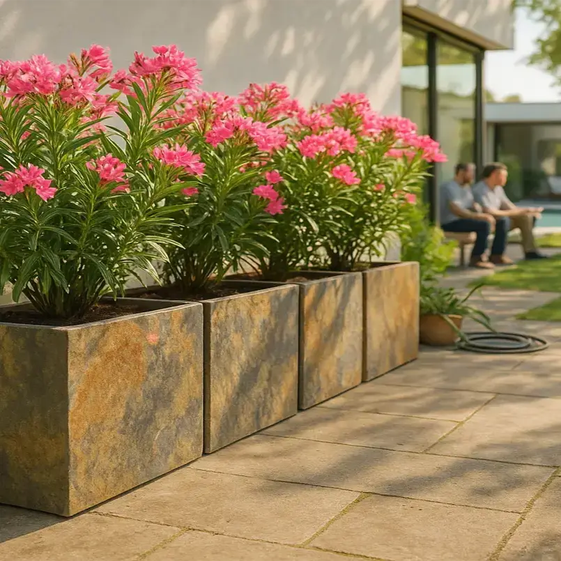 RECTO 80 Rusty – Pflanztrog Outdoor 80x60x40 cm Naturschiefer Braun - CLIMAQUA