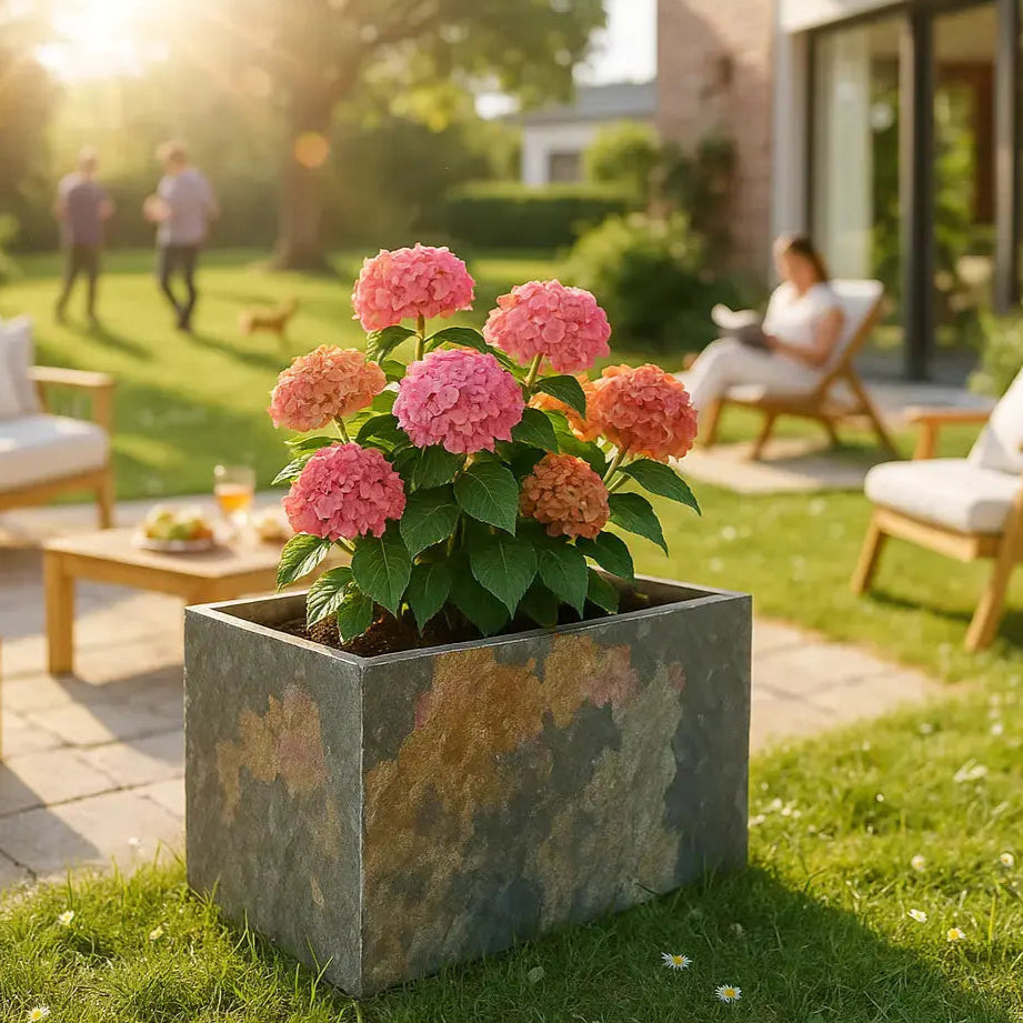 RECTO 60 Rusty – Blumenkasten Outdoor 60x40x40 cm Naturschiefer Braun –  CLIMAQUA