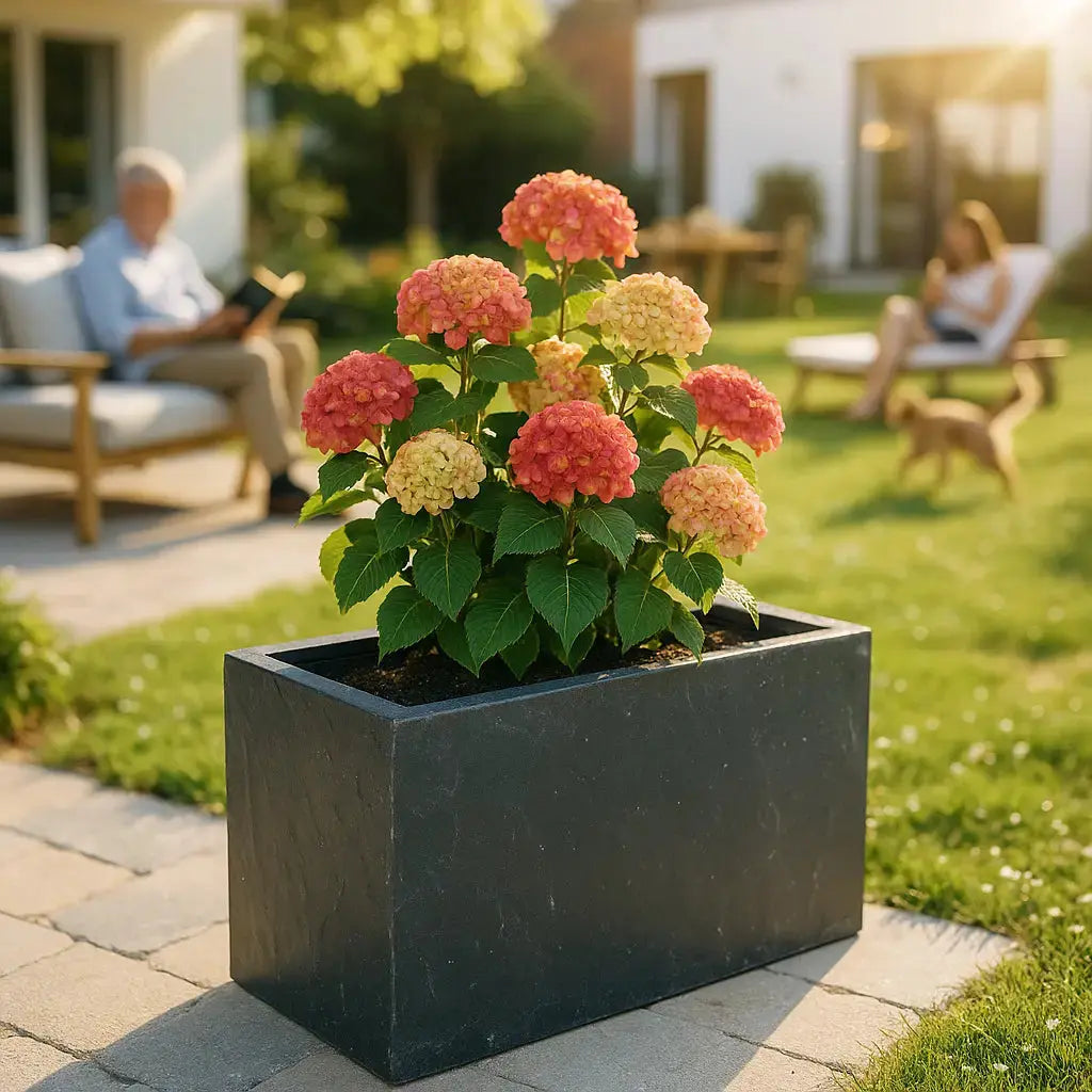 RECTO 80 Anthrazit – Pflanztrog Outdoor 80x60x40 cm Naturschiefer Schwarz - CLIMAQUA