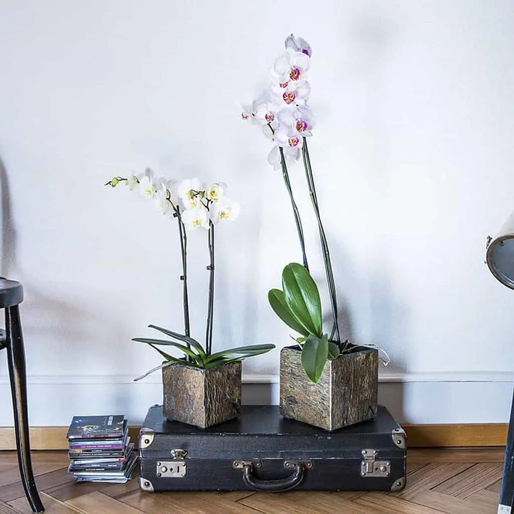 Übertopf Würfel 13x13x13 cm Schiefer Braun CUBI 13 Rusty - CLIMAQUA