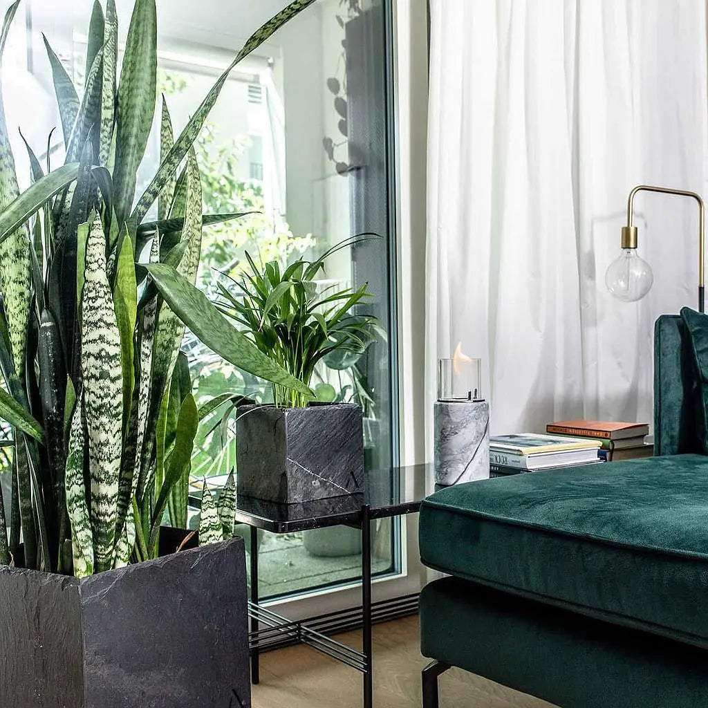 Übertopf Würfel 21x21x21 cm Schiefer Schwarz CUBI 21 Anthrazit - CLIMAQUA