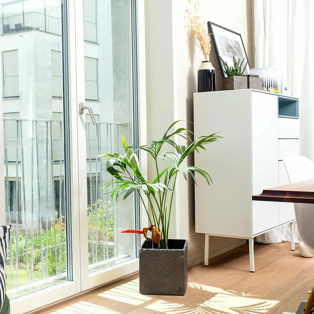 Übertopf Würfel 21x21x21 cm Schiefer Schwarz CUBI 21 Anthrazit - CLIMAQUA