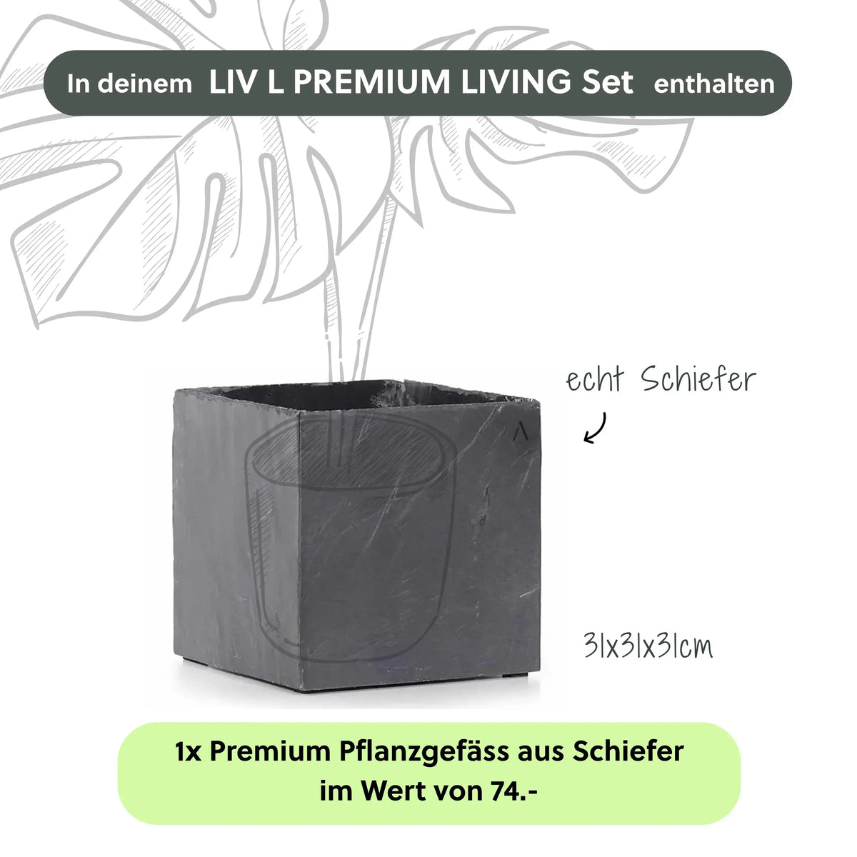 Wasserwand Set LIV L PREMIUM LIVING - CLIMAQUA