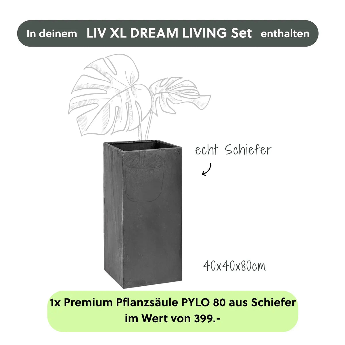 Wasserwand Set LIV XL DREAM LIVING - CLIMAQUA