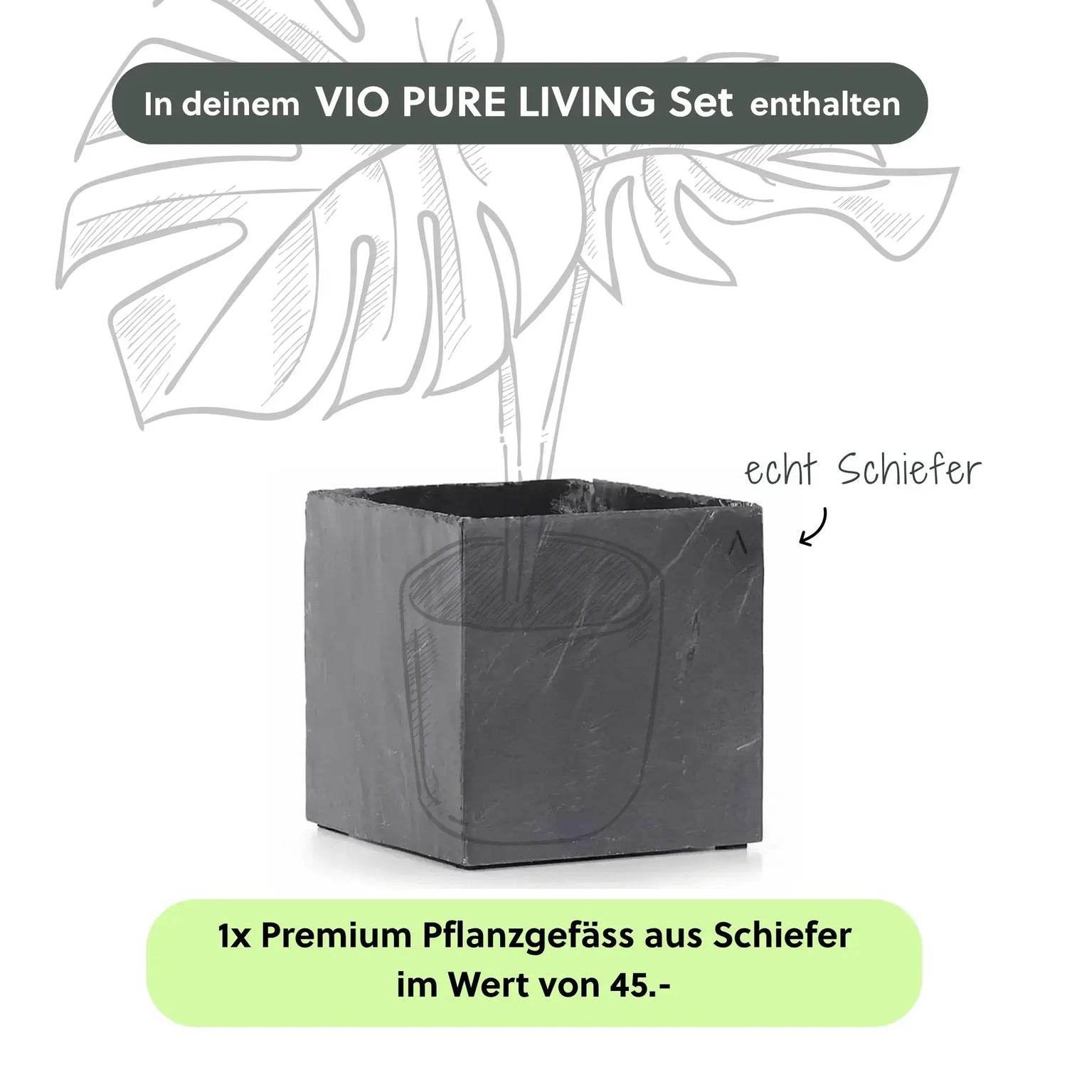 VIO PURE LIVING Set - CLIMAQUA