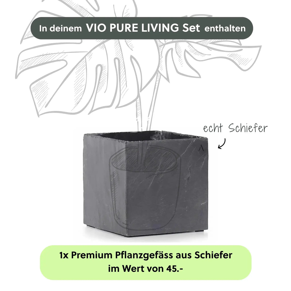 VIO PURE LIVING Set - CLIMAQUA