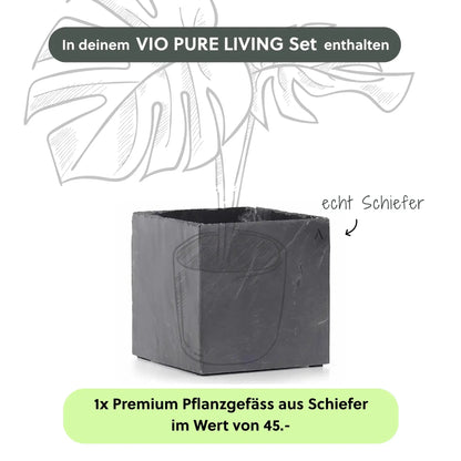 VIO PURE LIVING Set - CLIMAQUA