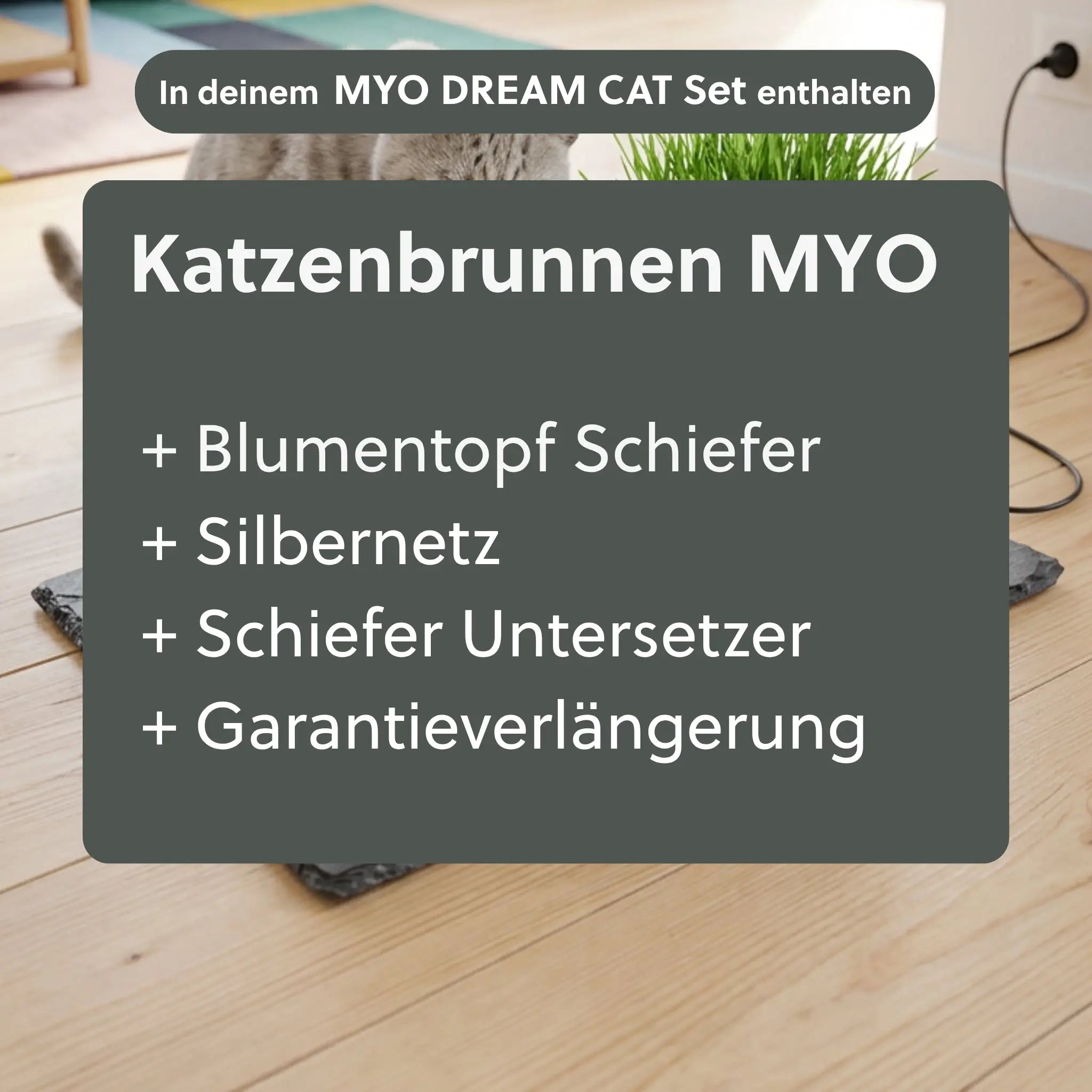 Katzenbrunnen MYO DREAM CAT SET - CLIMAQUA