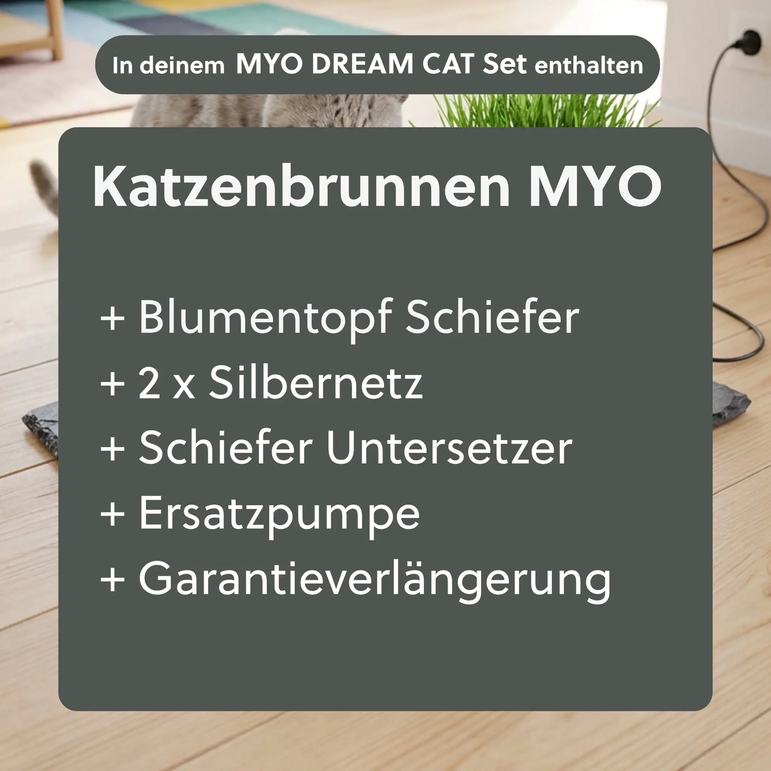MYO DREAM CAT SET - CLIMAQUA
