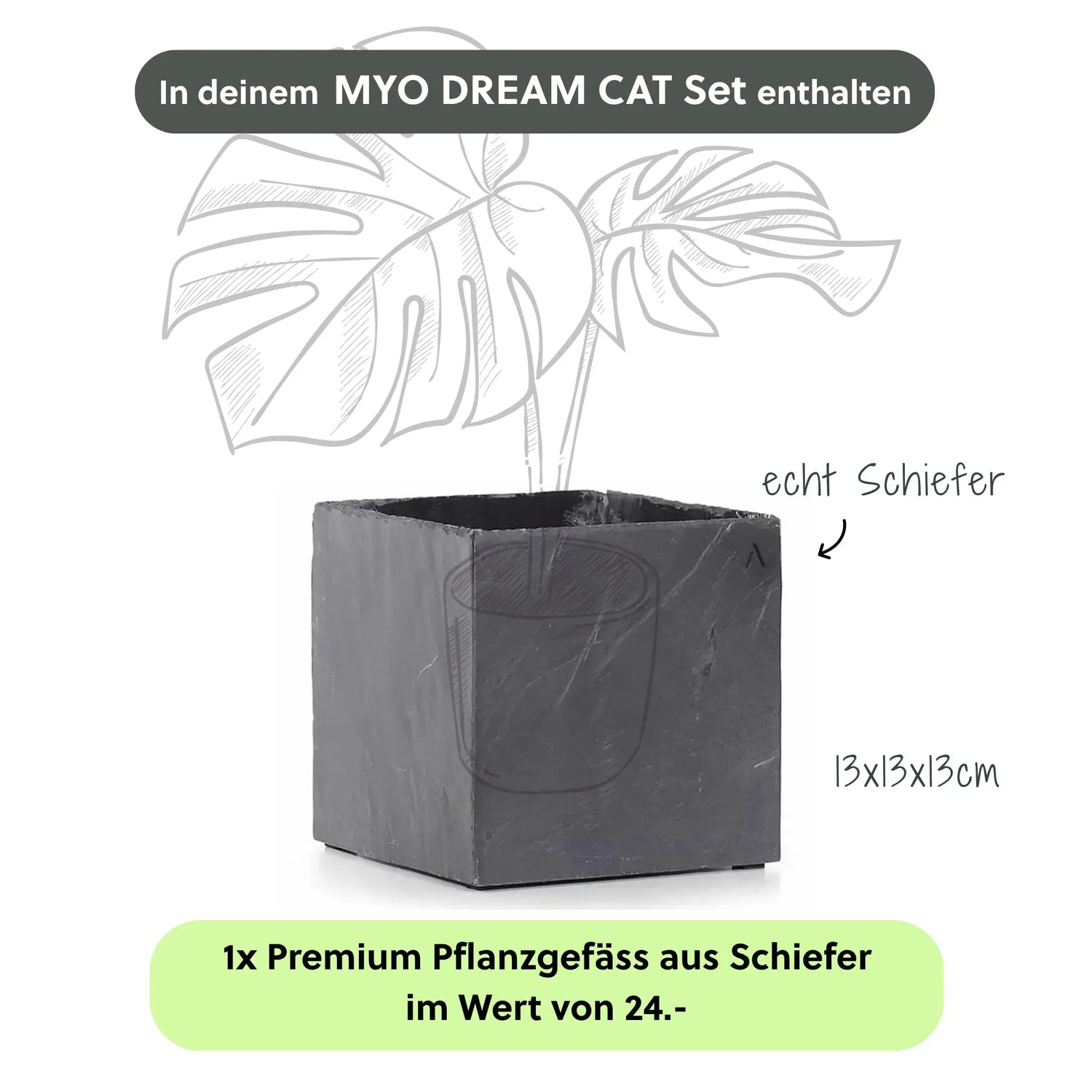 MYO DREAM CAT SET - CLIMAQUA
