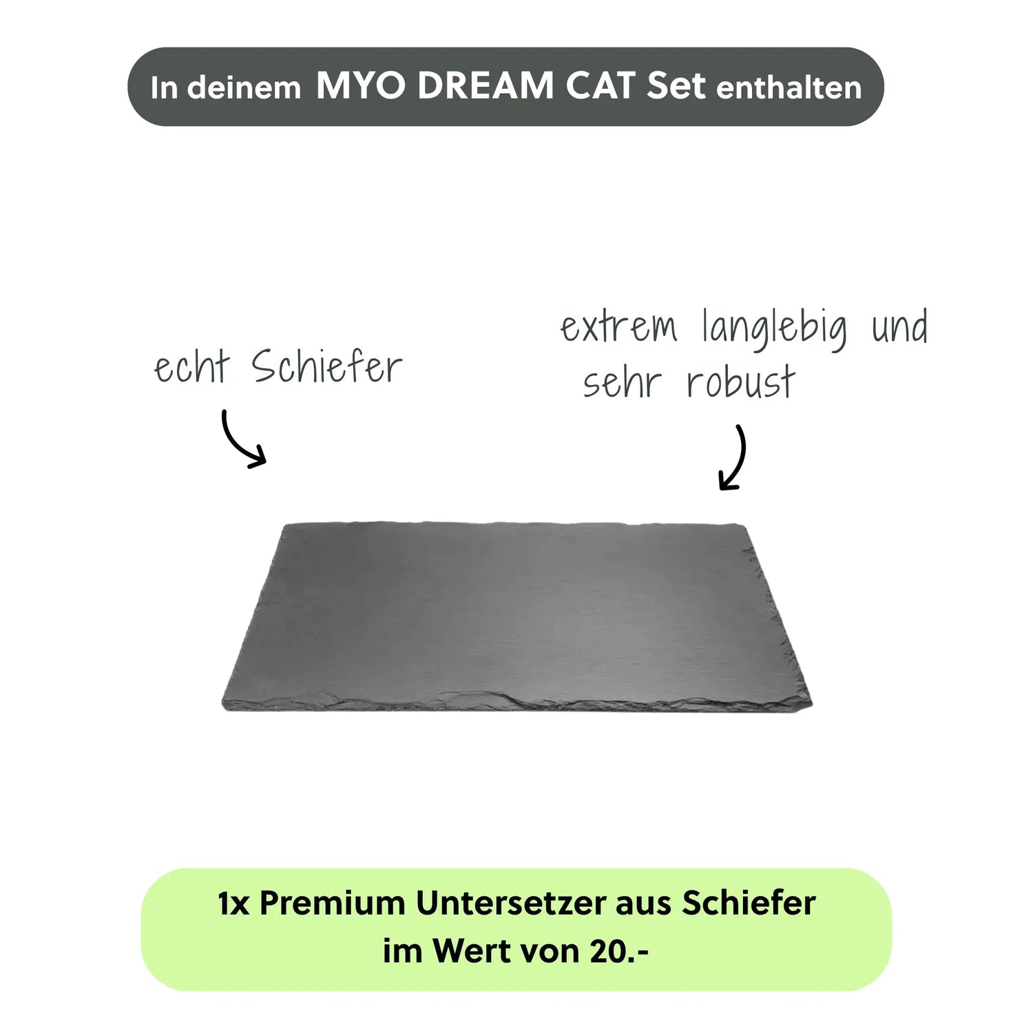 MYO DREAM CAT SET - CLIMAQUA