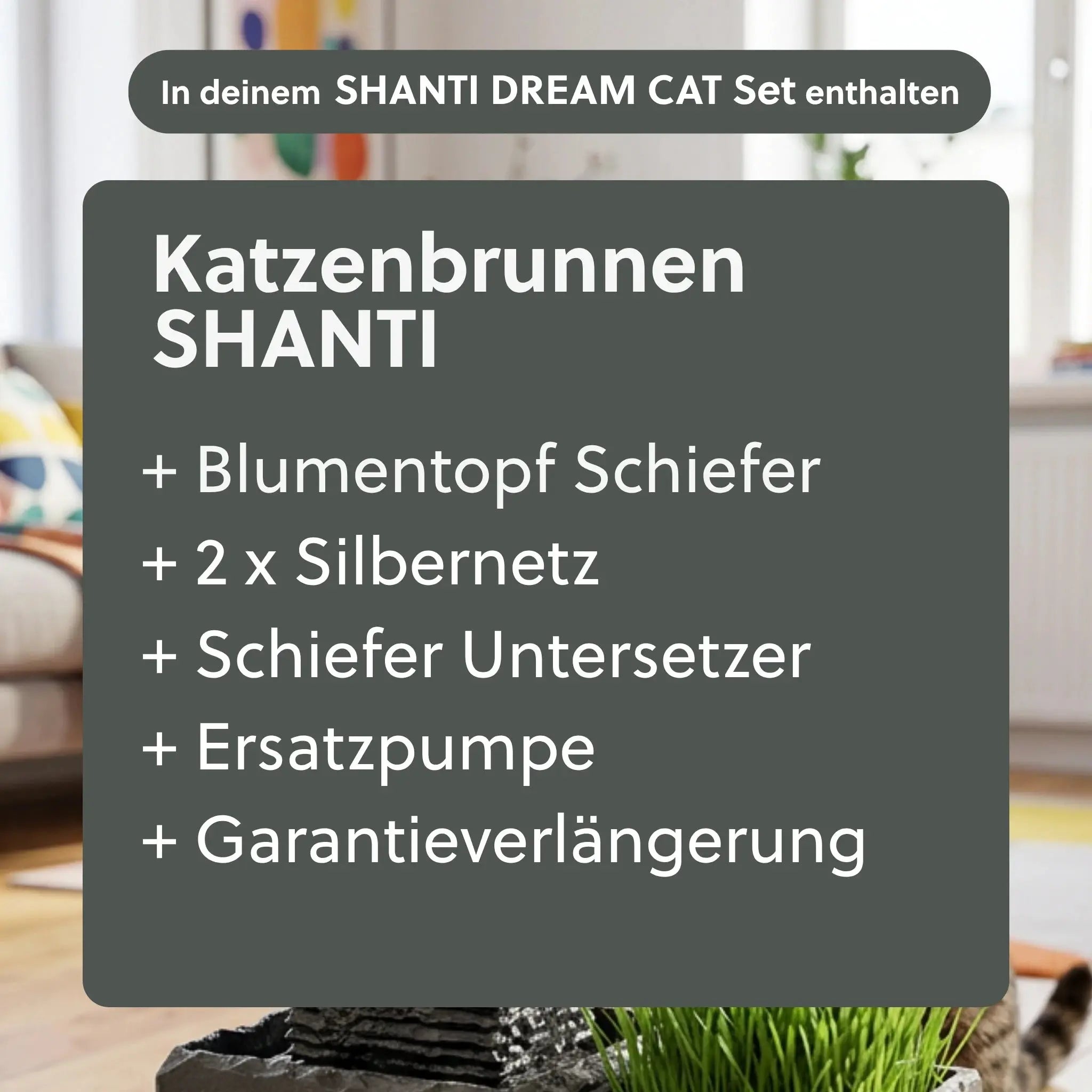 SHANTI DREAM CAT SET - CLIMAQUA
