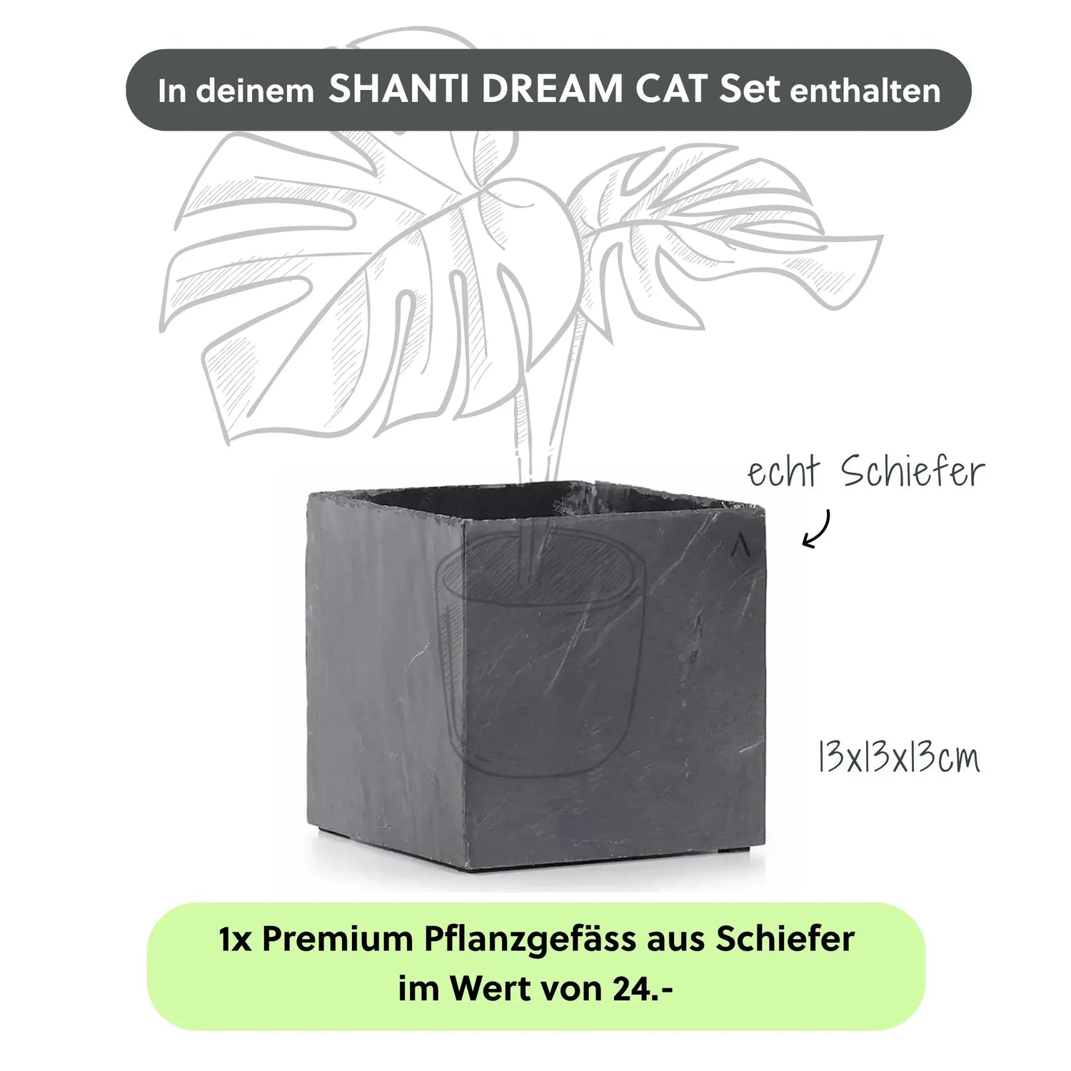 SHANTI DREAM CAT SET - CLIMAQUA