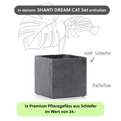 SHANTI DREAM CAT SET - CLIMAQUA