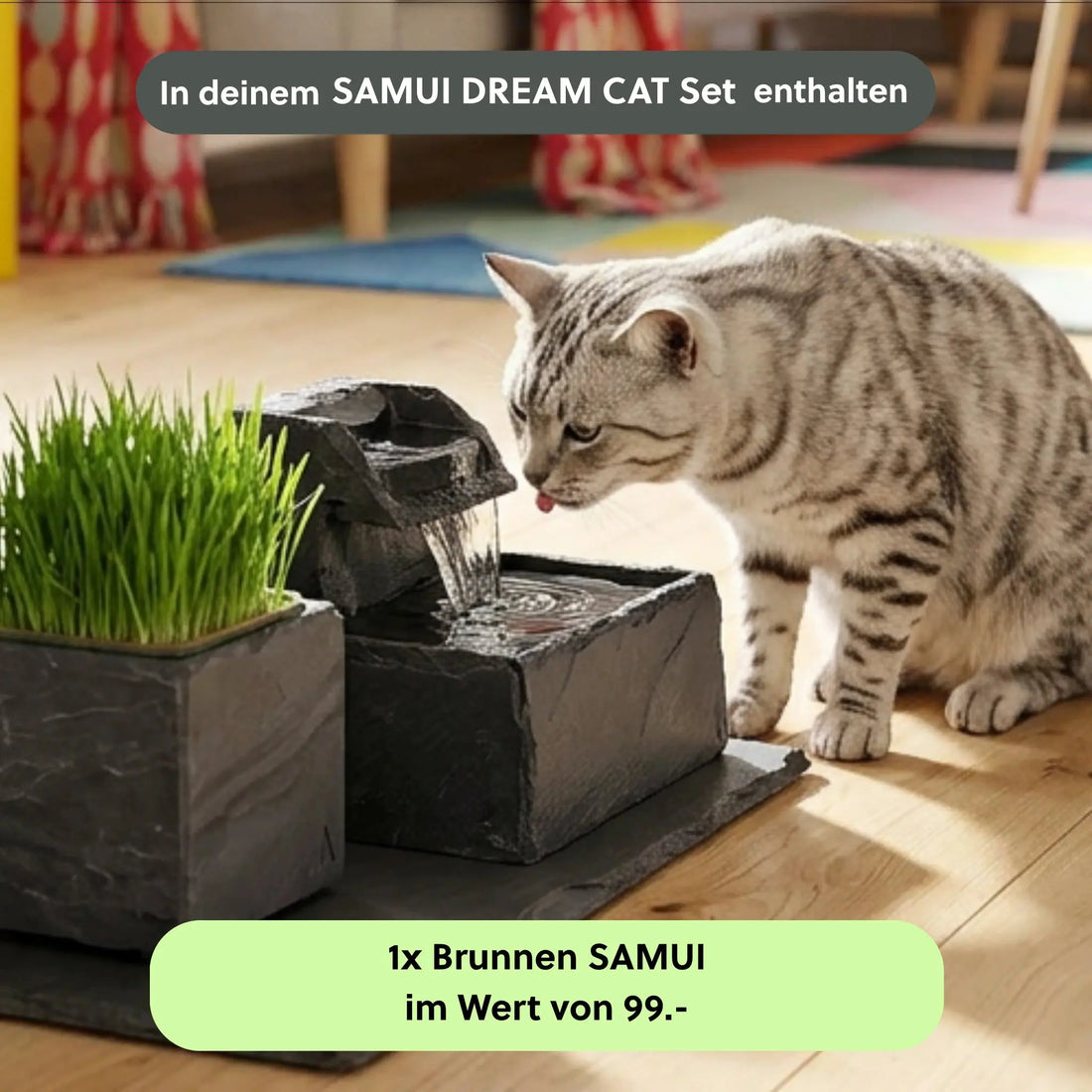 Katzenbrunnen SAMUI DREAM CAT SET - CLIMAQUA (KI-Inhalte)