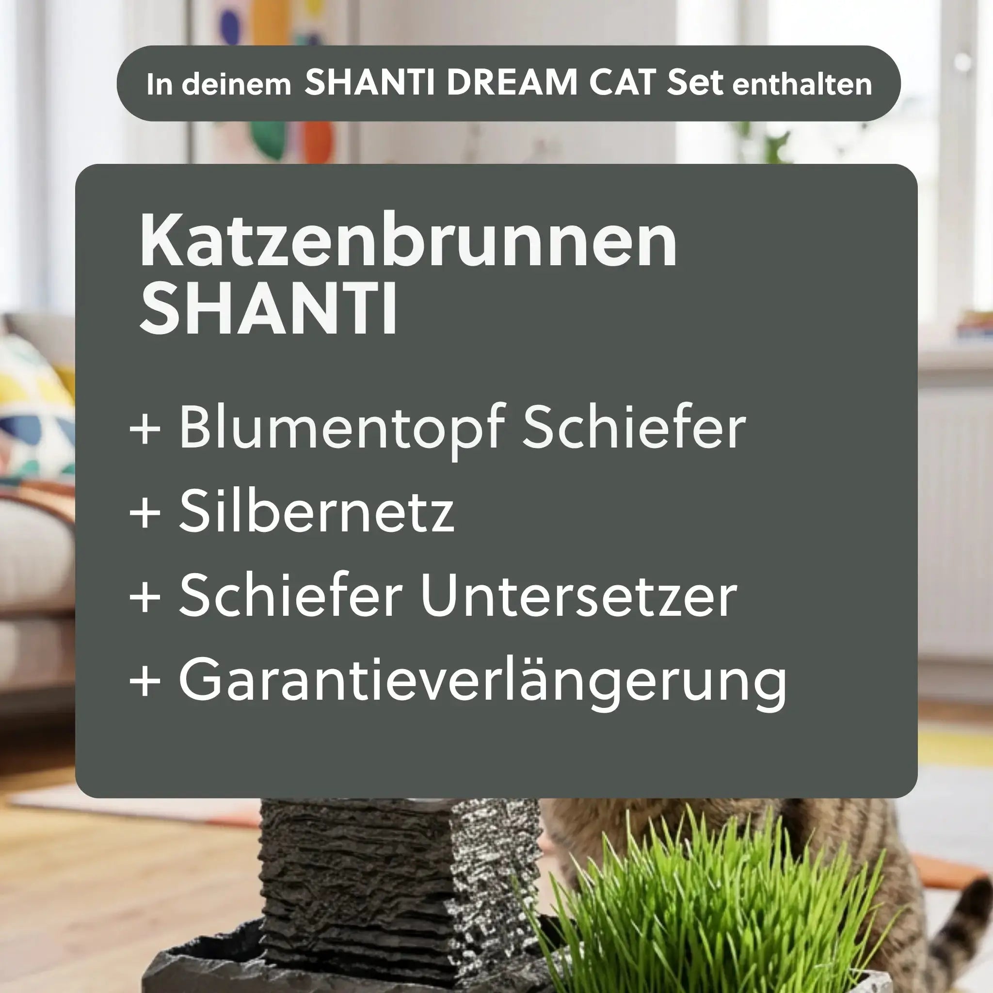 Katzenbrunnen SHANTI DREAM CAT SET - CLIMAQUA