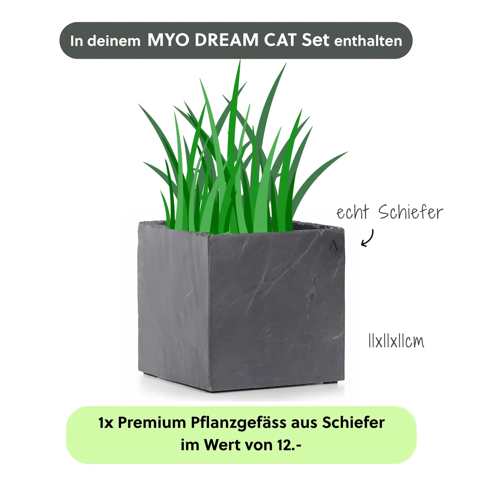 Katzenbrunnen MYO DREAM CAT SET - CLIMAQUA