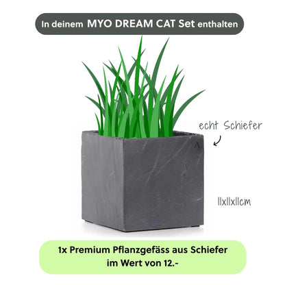 Katzenbrunnen MYO DREAM CAT SET - CLIMAQUA