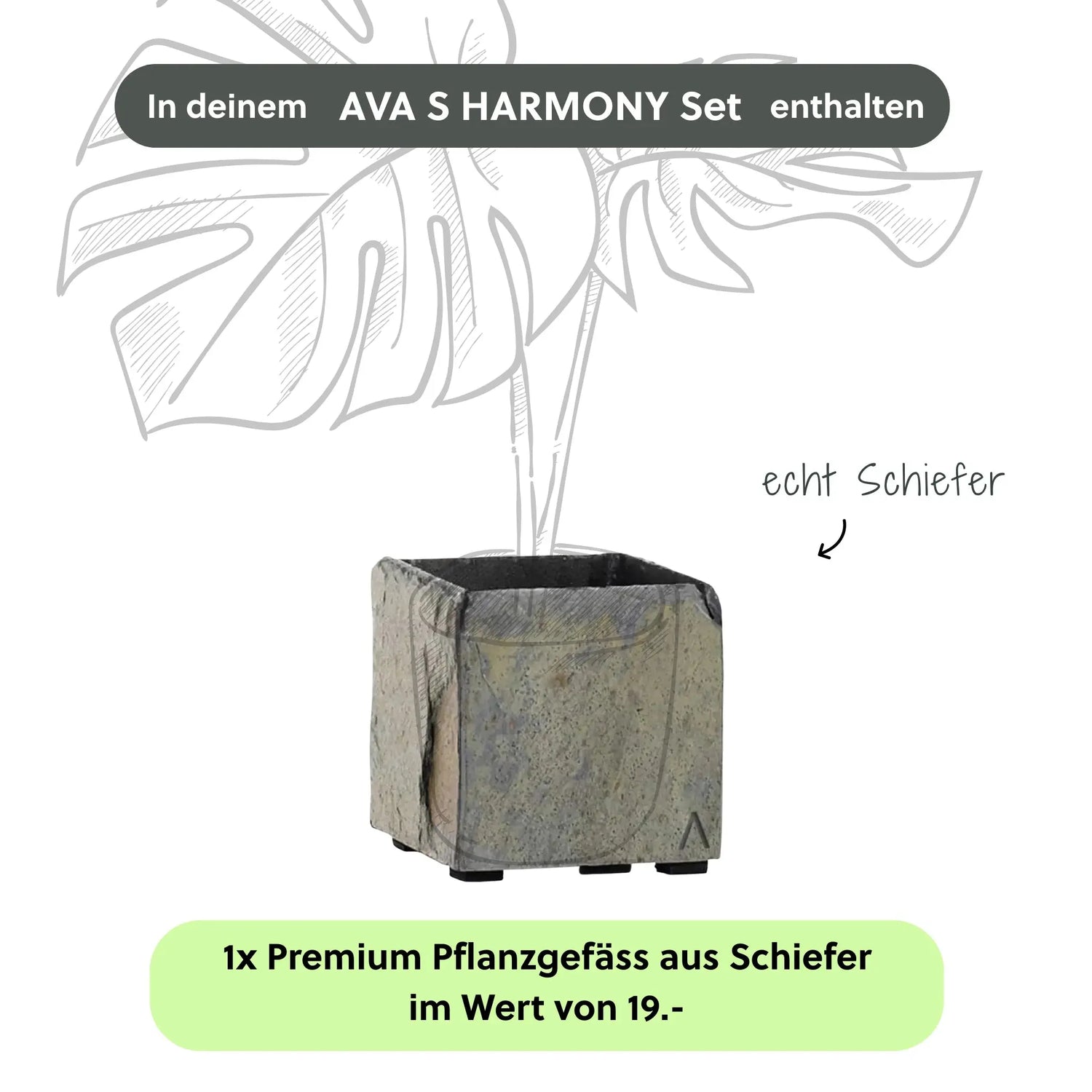 Kleine Wasserwand AVA S HARMONY Set - CLIMAQUA